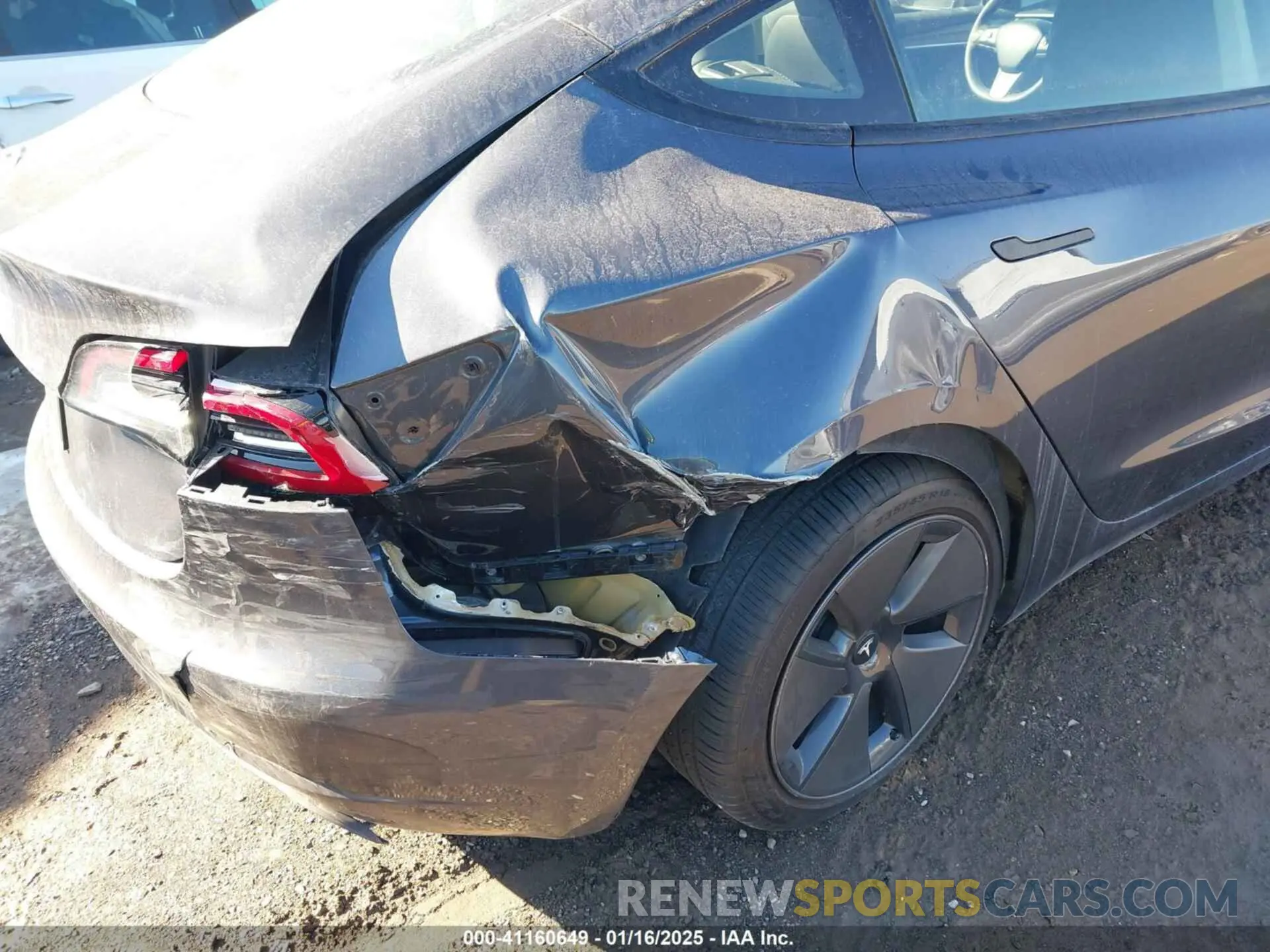 6 fotografías del automóvil dañado 5YJ3E1EA9PF548502 TESLA MODEL 3 2023
