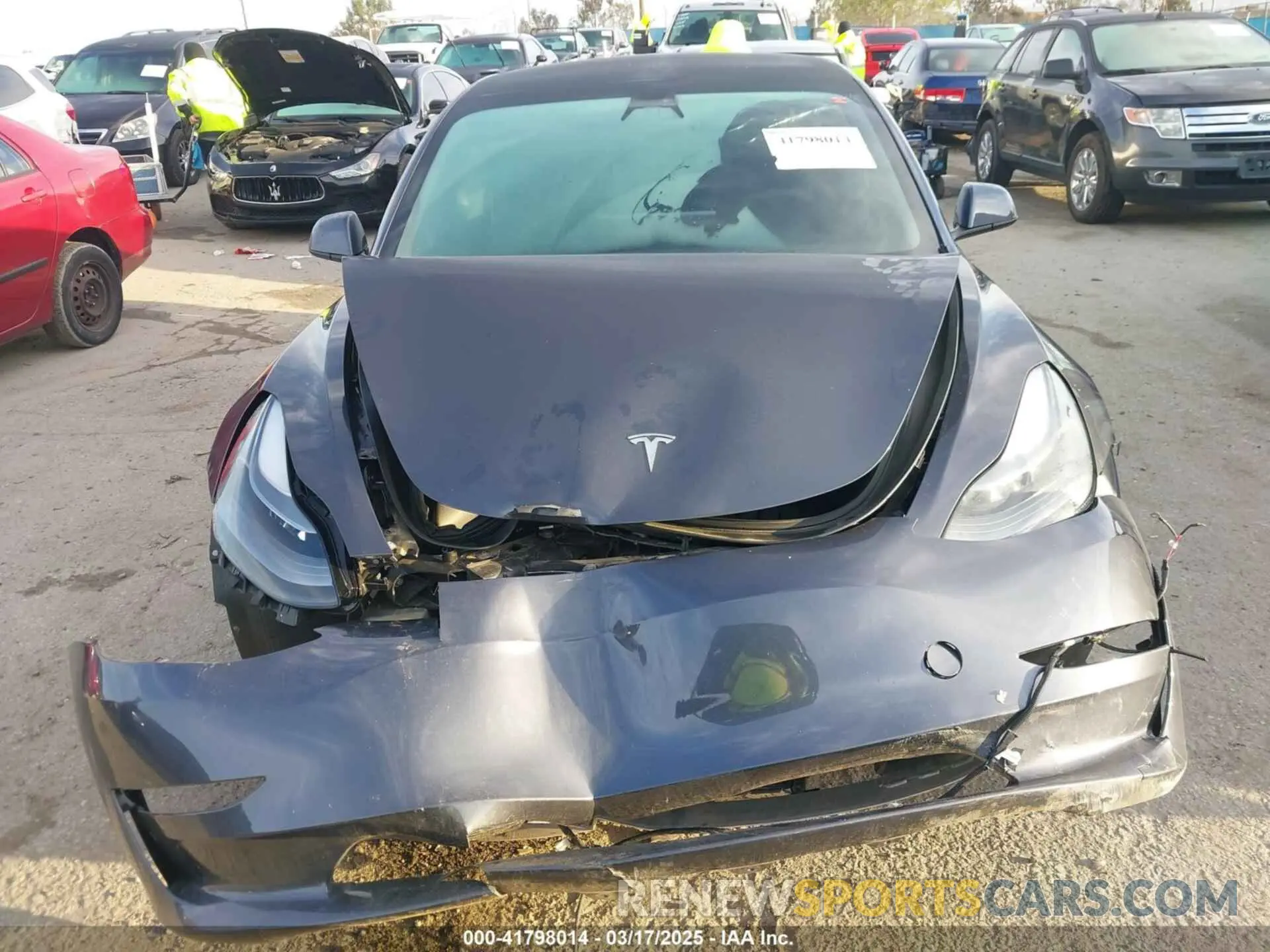 12 fotografías del automóvil dañado 5YJ3E1EA9PF569494 TESLA MODEL 3 2023
