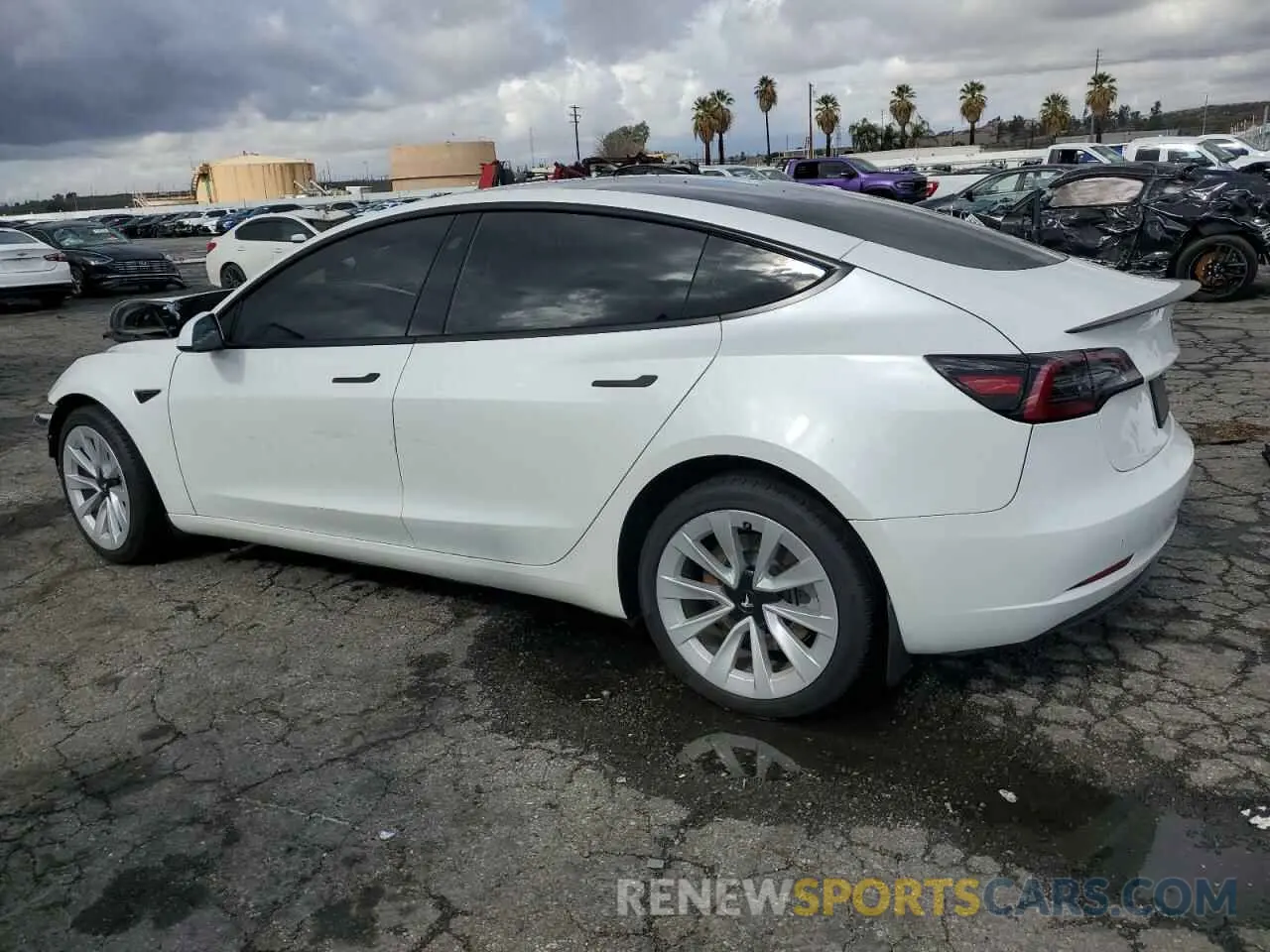 2 fotografías del automóvil dañado 5YJ3E1EA9PF582536 TESLA MODEL 3 2023
