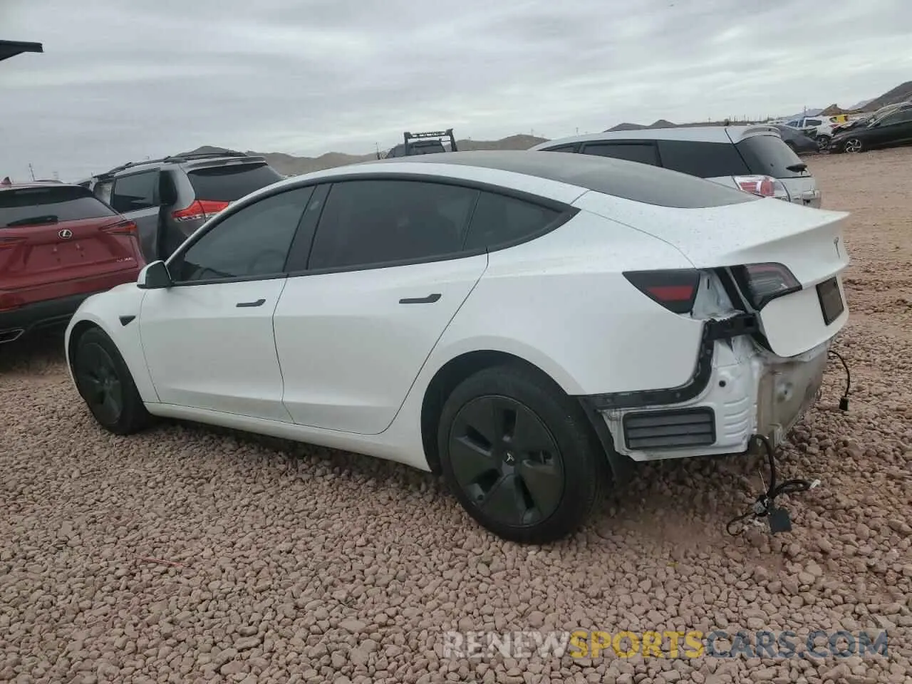 2 fotografías del automóvil dañado 5YJ3E1EA9PF585274 TESLA MODEL 3 2023
