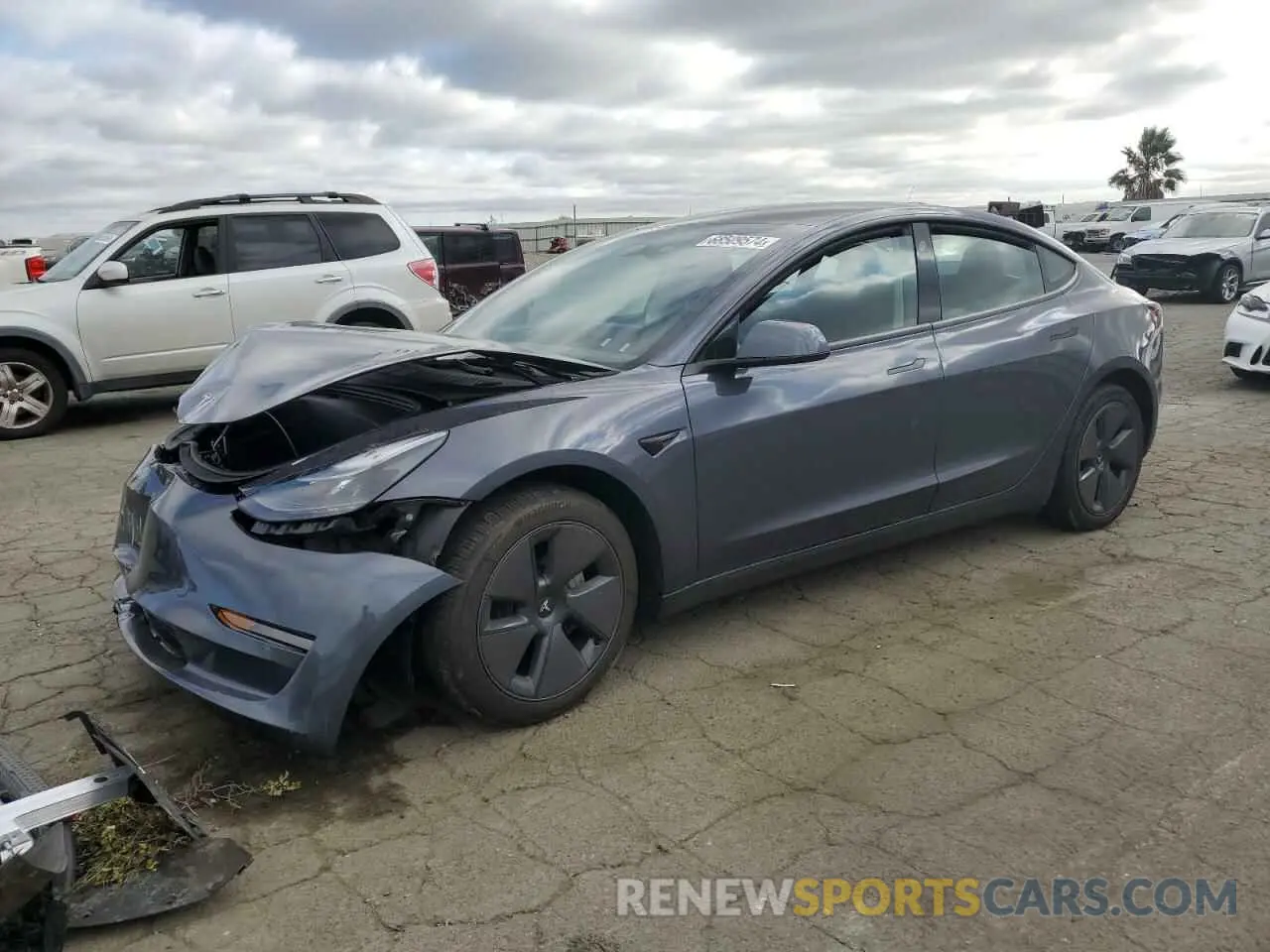 1 fotografías del automóvil dañado 5YJ3E1EA9PF704747 TESLA MODEL 3 2023
