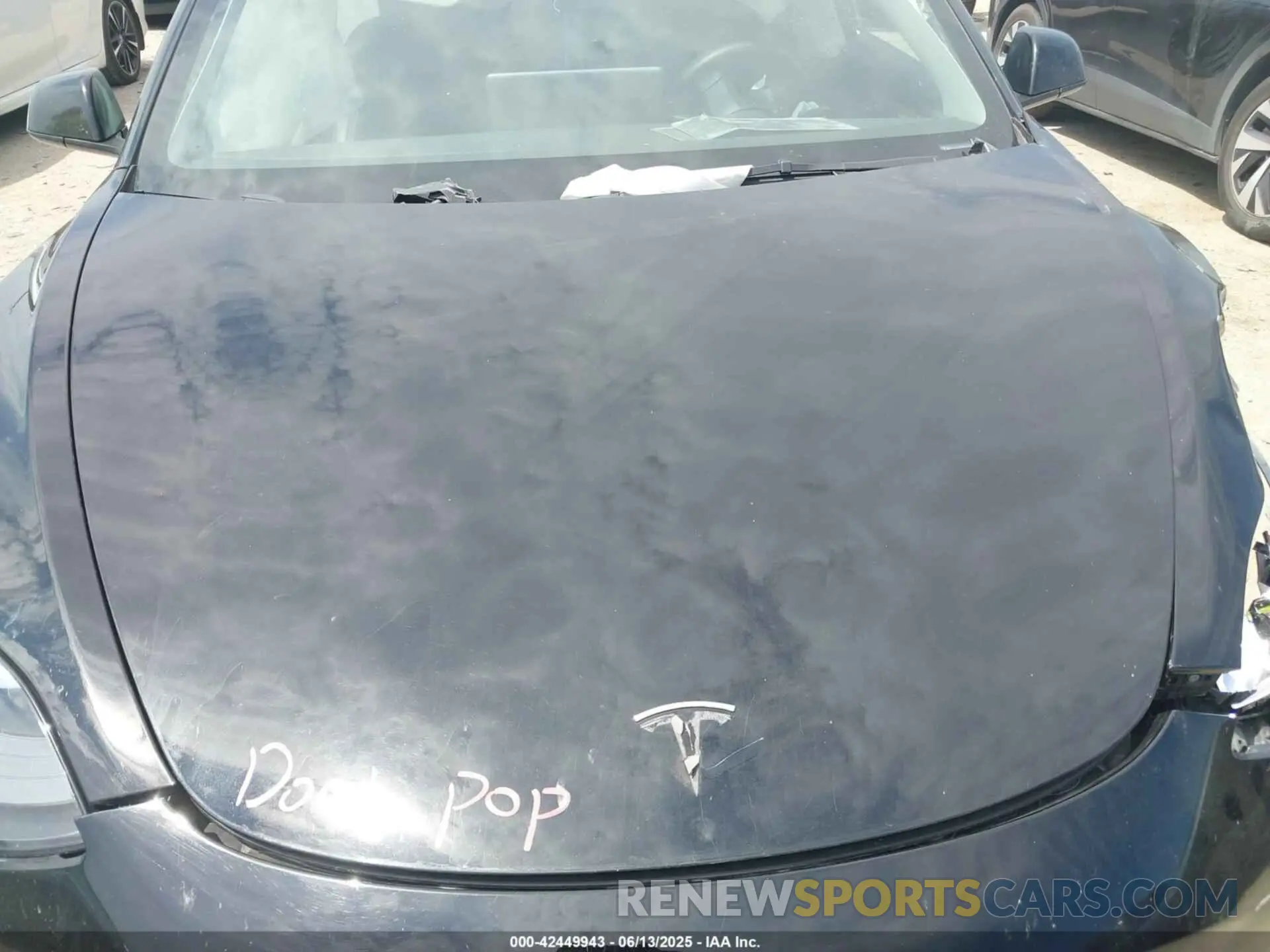 10 fotografías del automóvil dañado 5YJ3E1EAXPF453415 TESLA MODEL 3 2023