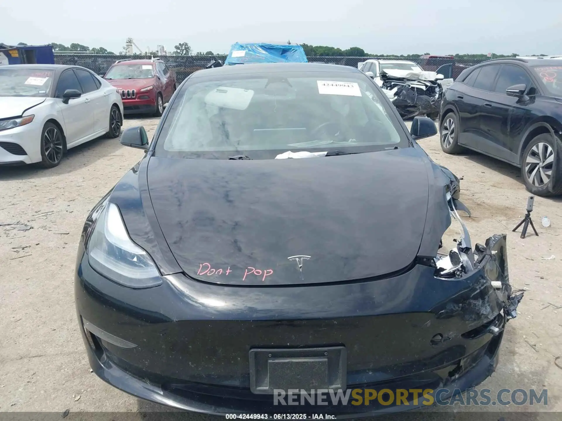 11 fotografías del automóvil dañado 5YJ3E1EAXPF453415 TESLA MODEL 3 2023