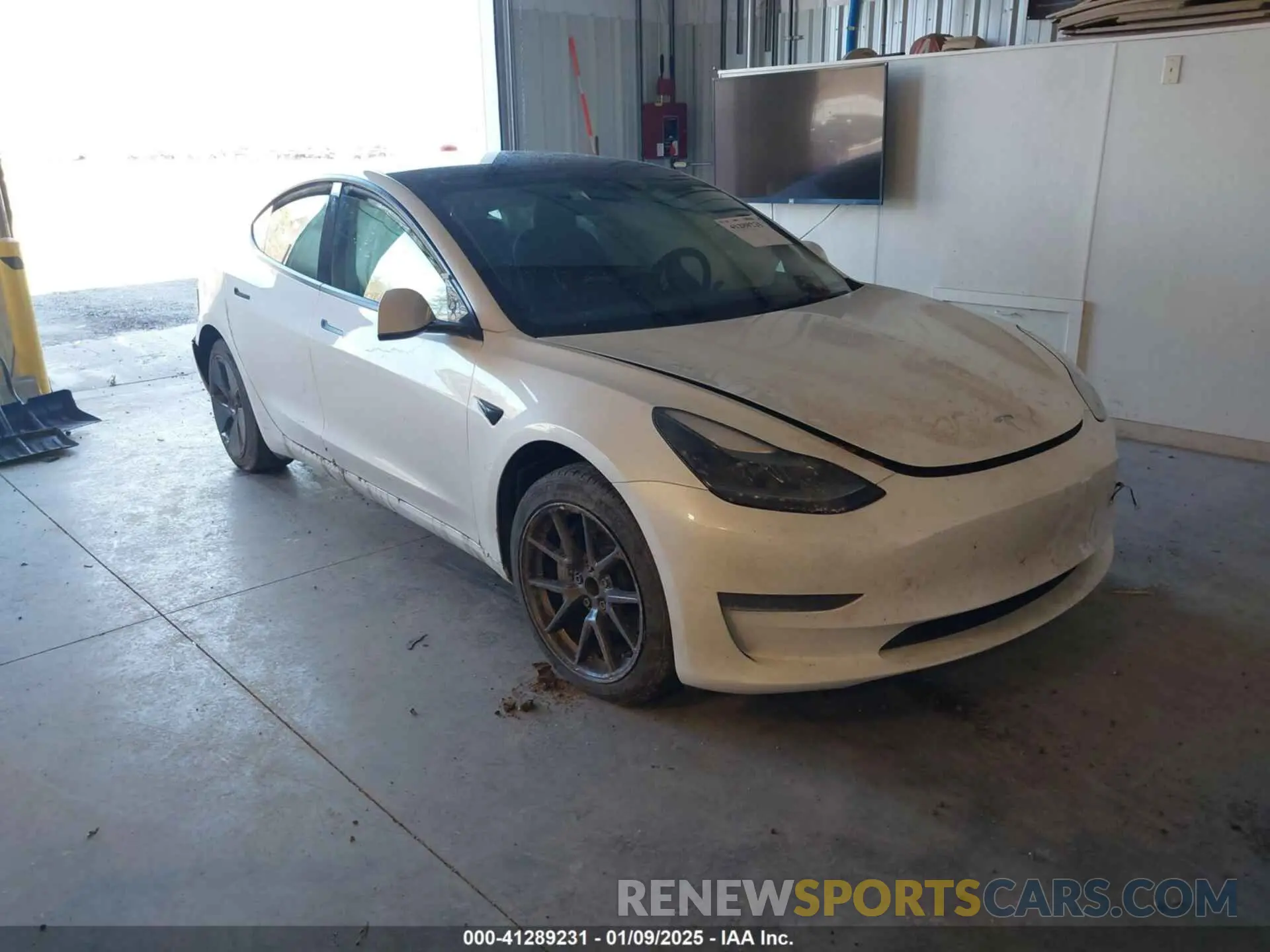 1 fotografías del automóvil dañado 5YJ3E1EAXPF475561 TESLA MODEL 3 2023