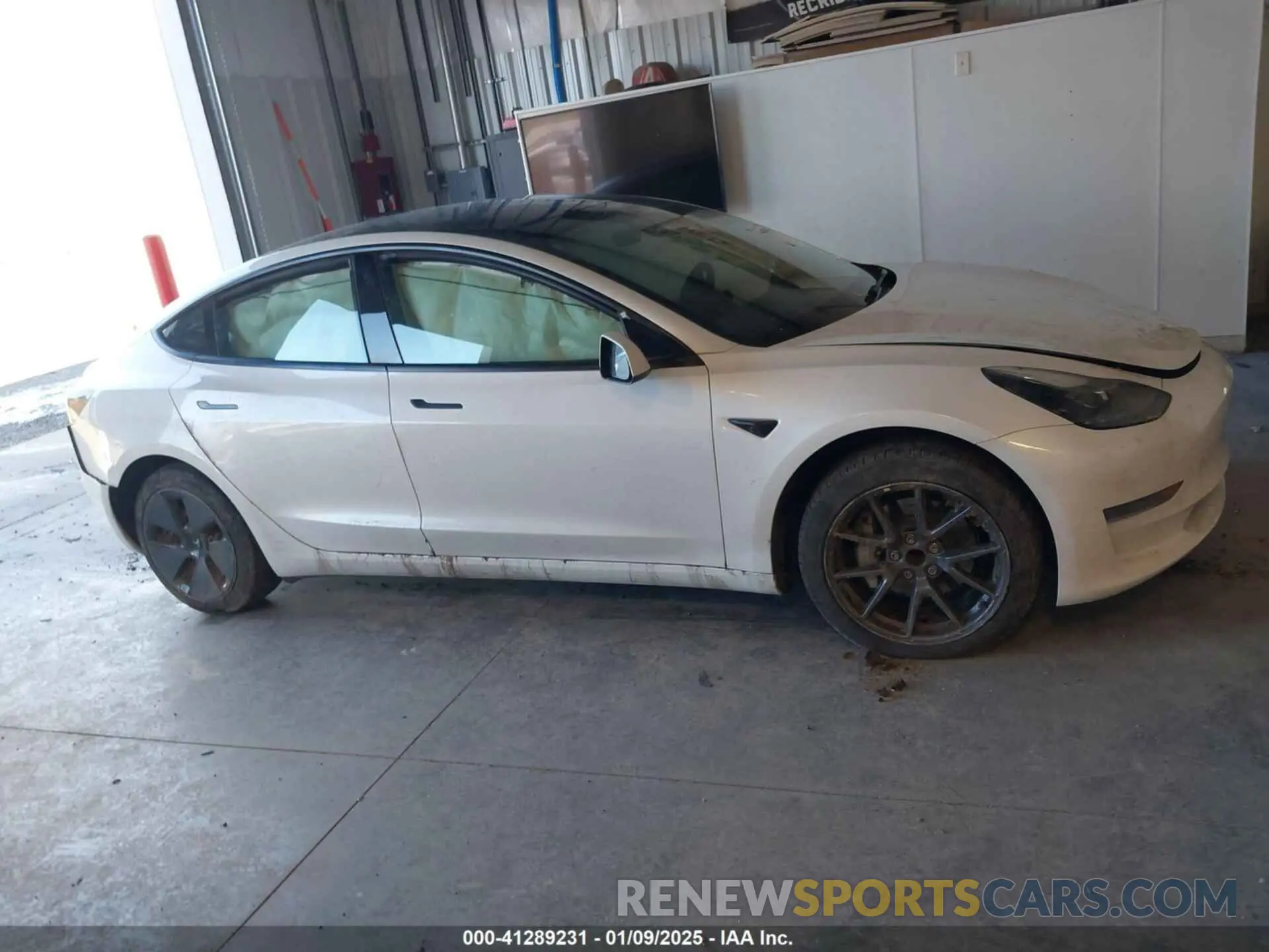12 fotografías del automóvil dañado 5YJ3E1EAXPF475561 TESLA MODEL 3 2023