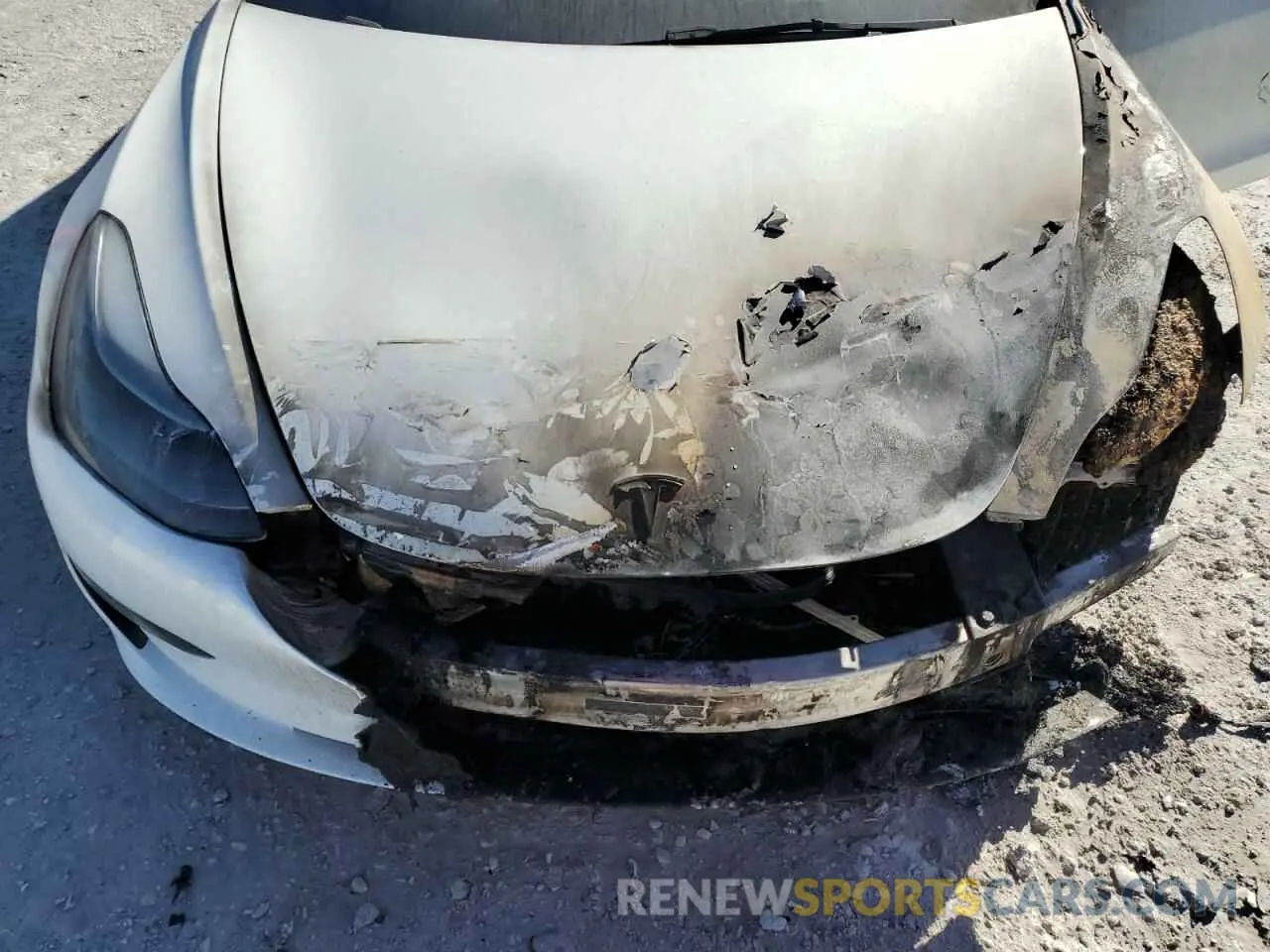 11 fotografías del automóvil dañado 5YJ3E1EAXPF484292 TESLA MODEL 3 2023