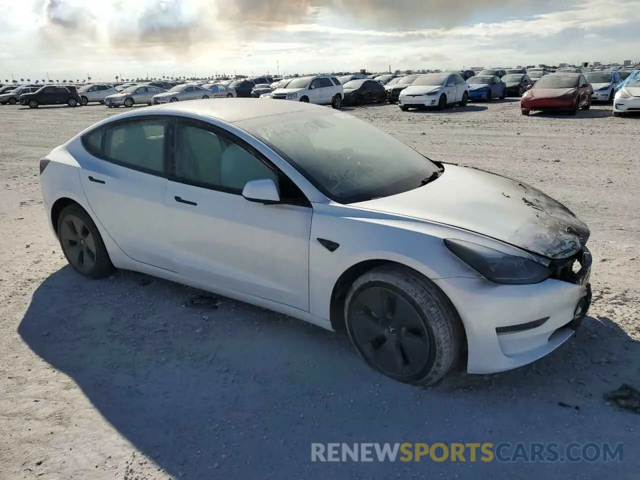 4 fotografías del automóvil dañado 5YJ3E1EAXPF484292 TESLA MODEL 3 2023