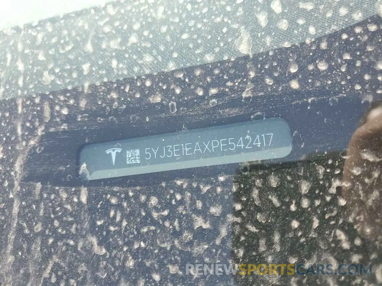 12 fotografías del automóvil dañado 5YJ3E1EAXPF542417 TESLA MODEL 3 2023