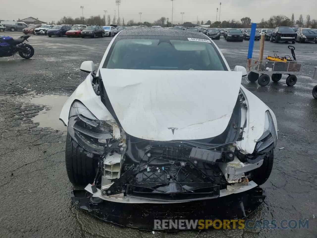 5 fotografías del automóvil dañado 5YJ3E1EAXPF544233 TESLA MODEL 3 2023