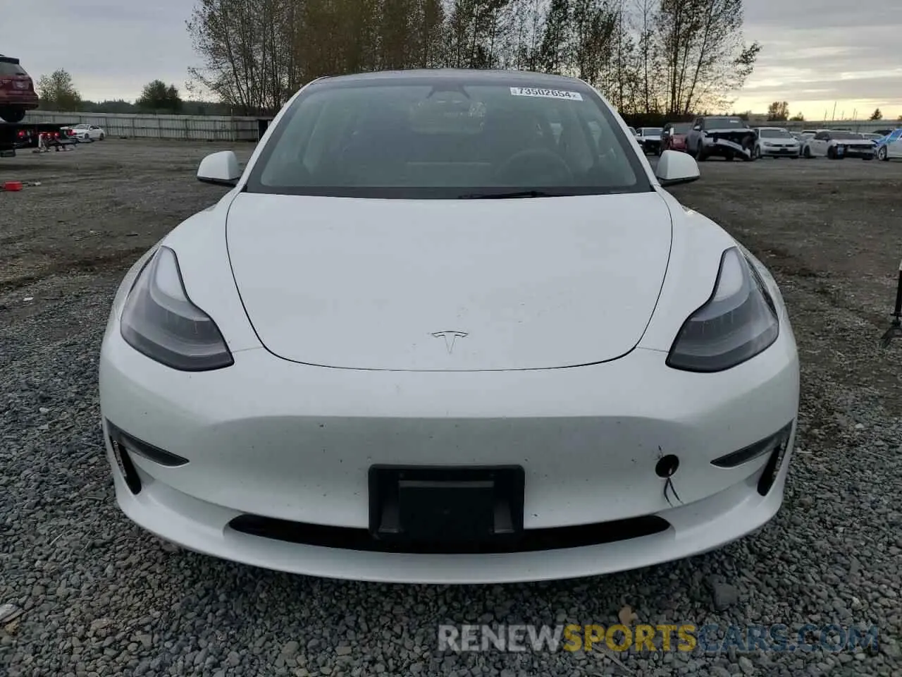 5 fotografías del automóvil dañado 5YJ3E1EAXPF568015 TESLA MODEL 3 2023