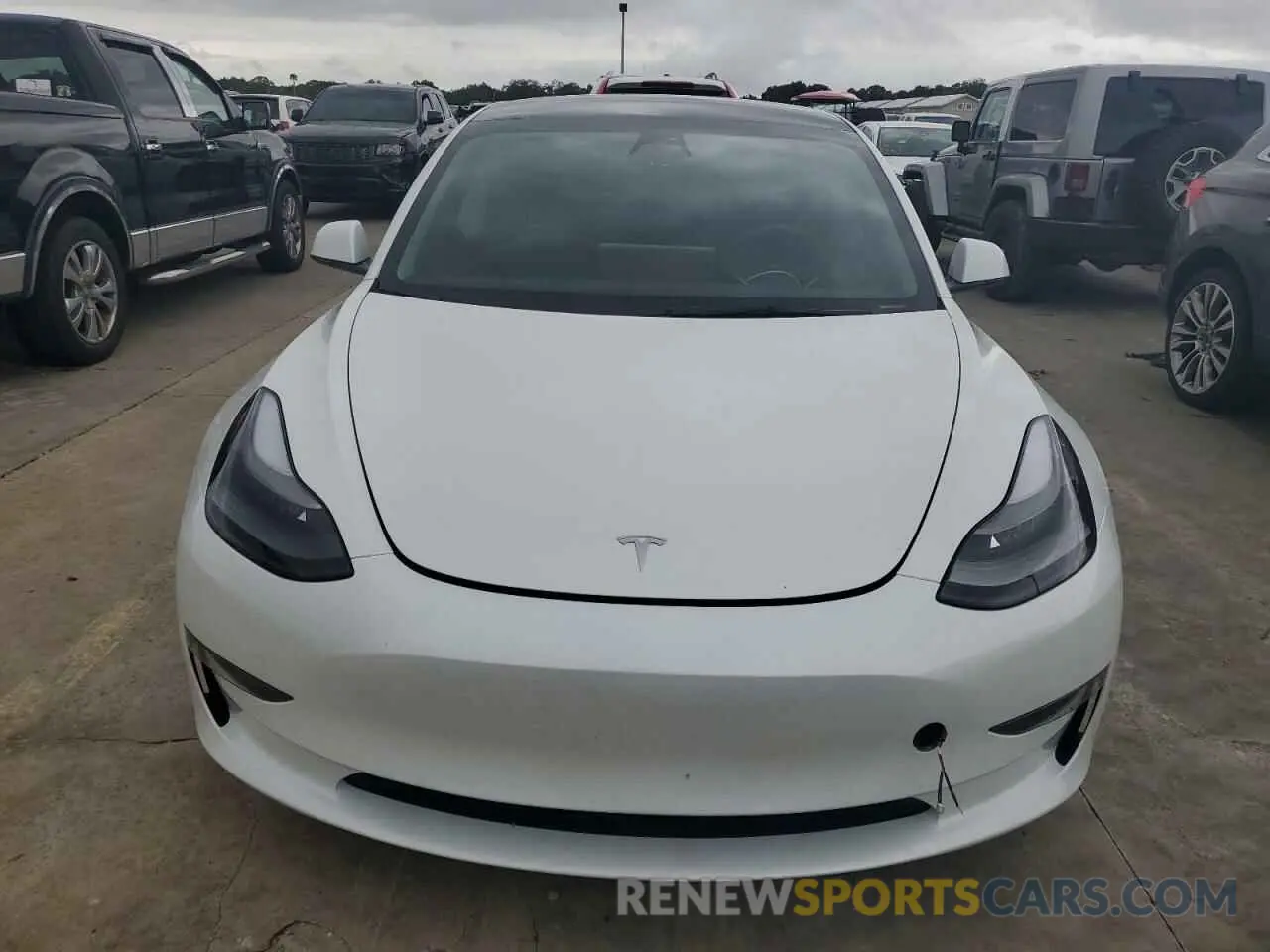 5 fotografías del automóvil dañado 5YJ3E1EAXPF579273 TESLA MODEL 3 2023