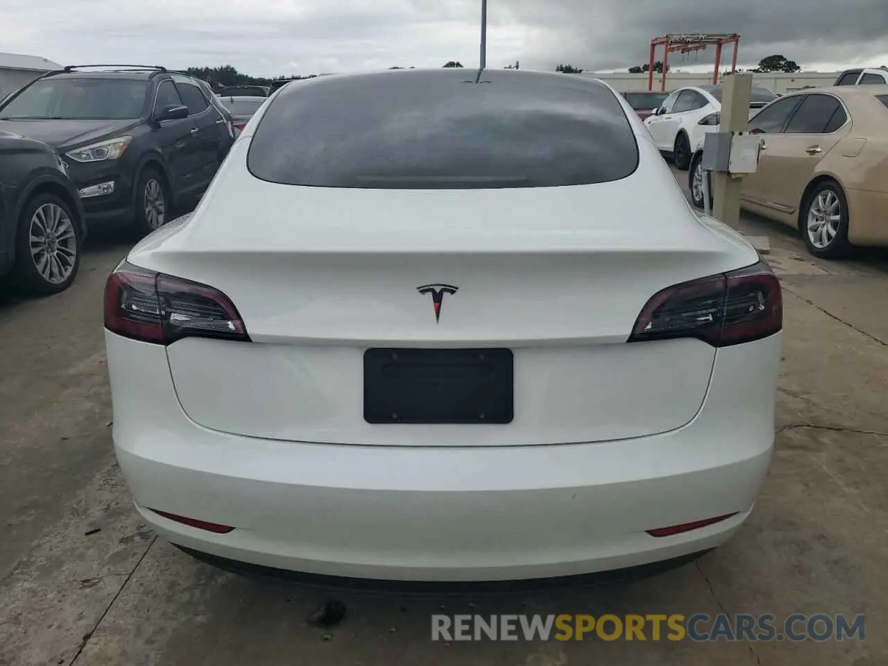 6 fotografías del automóvil dañado 5YJ3E1EAXPF579273 TESLA MODEL 3 2023