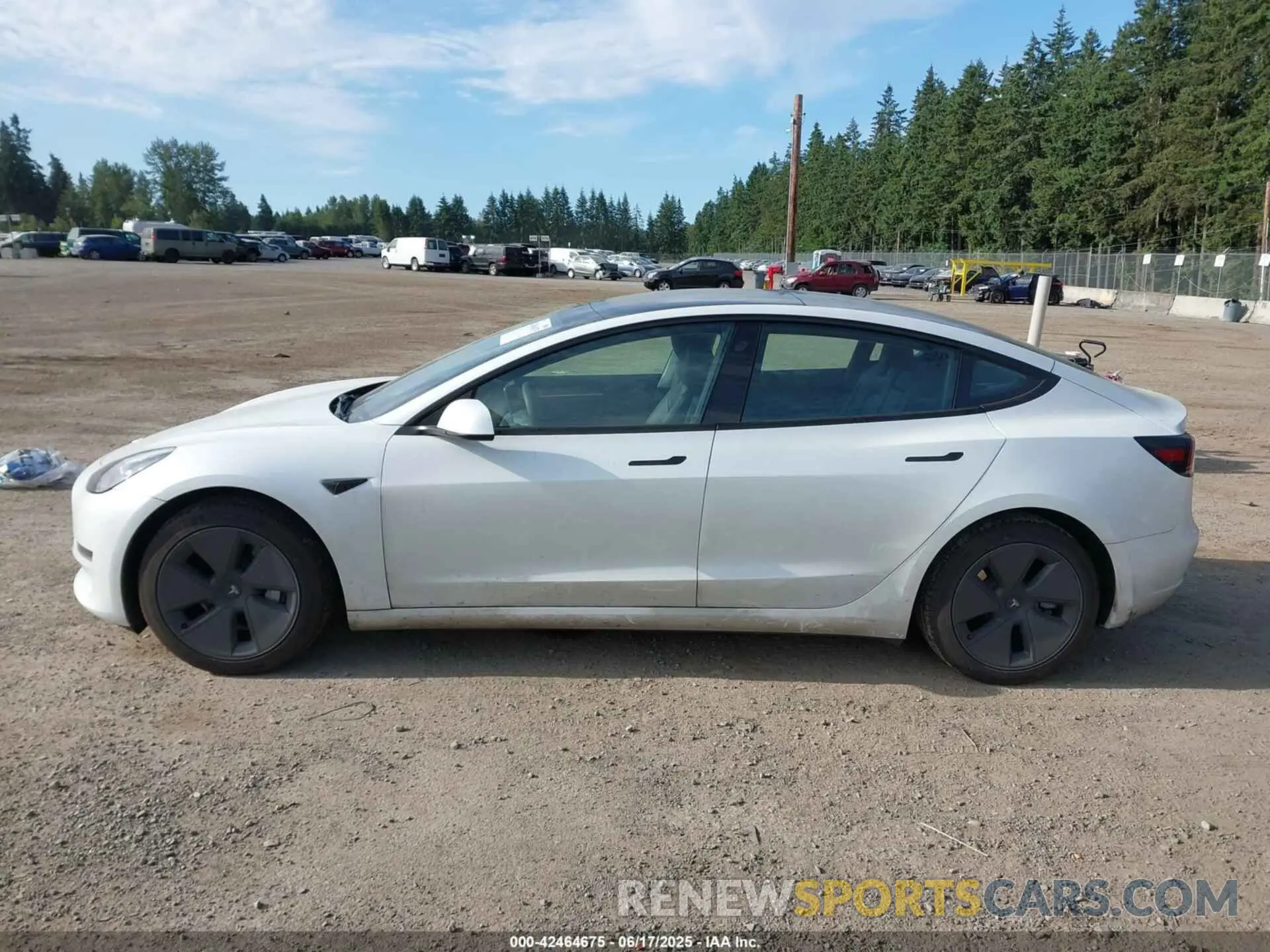 14 fotografías del automóvil dañado 5YJ3E1EAXPF609792 TESLA MODEL 3 2023
