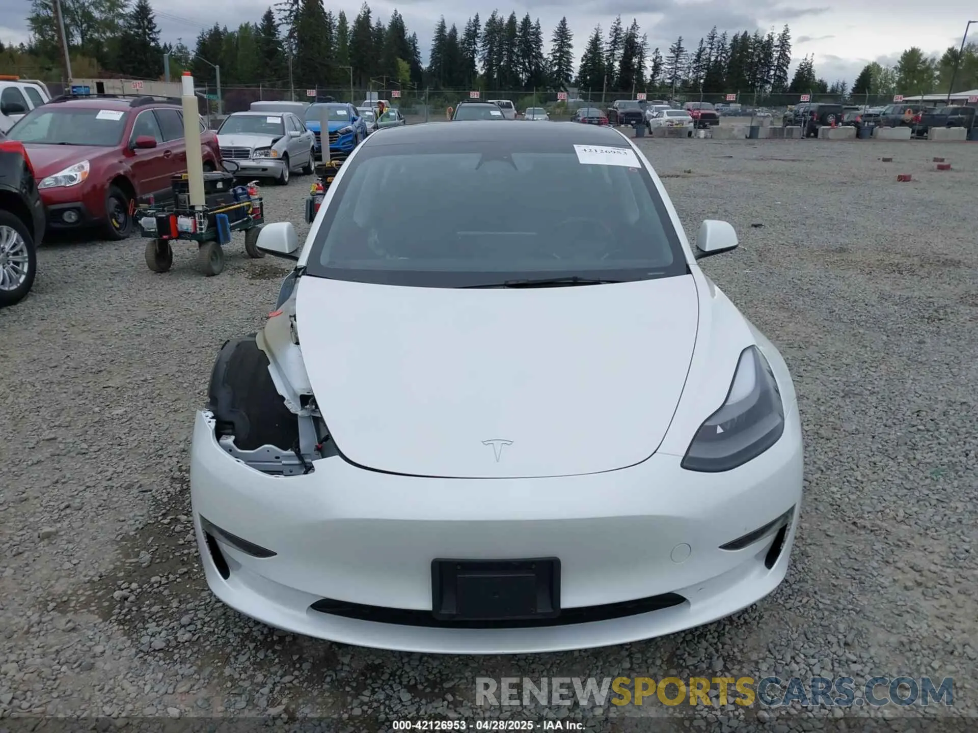13 fotografías del automóvil dañado 5YJ3E1EAXPF611882 TESLA MODEL 3 2023