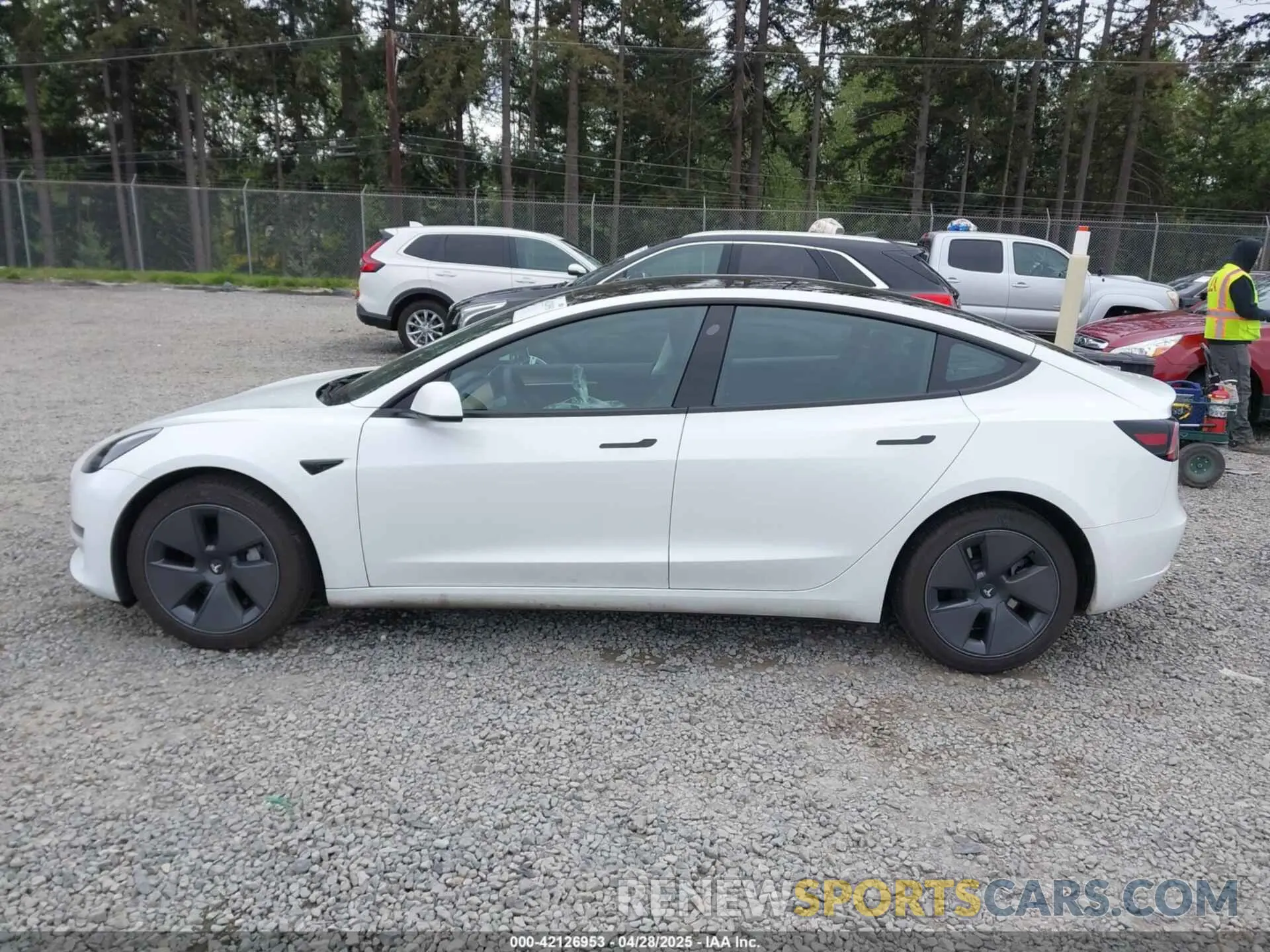 15 fotografías del automóvil dañado 5YJ3E1EAXPF611882 TESLA MODEL 3 2023