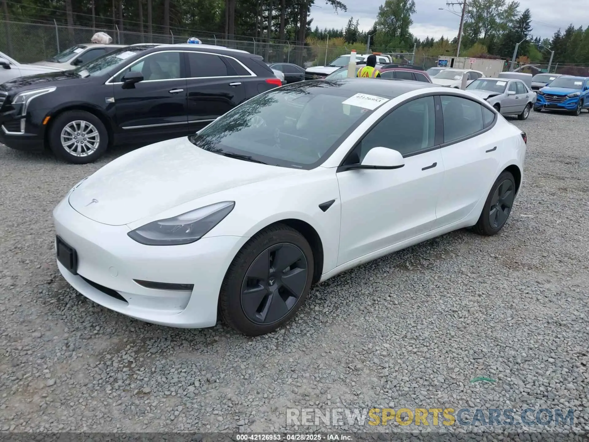2 fotografías del automóvil dañado 5YJ3E1EAXPF611882 TESLA MODEL 3 2023