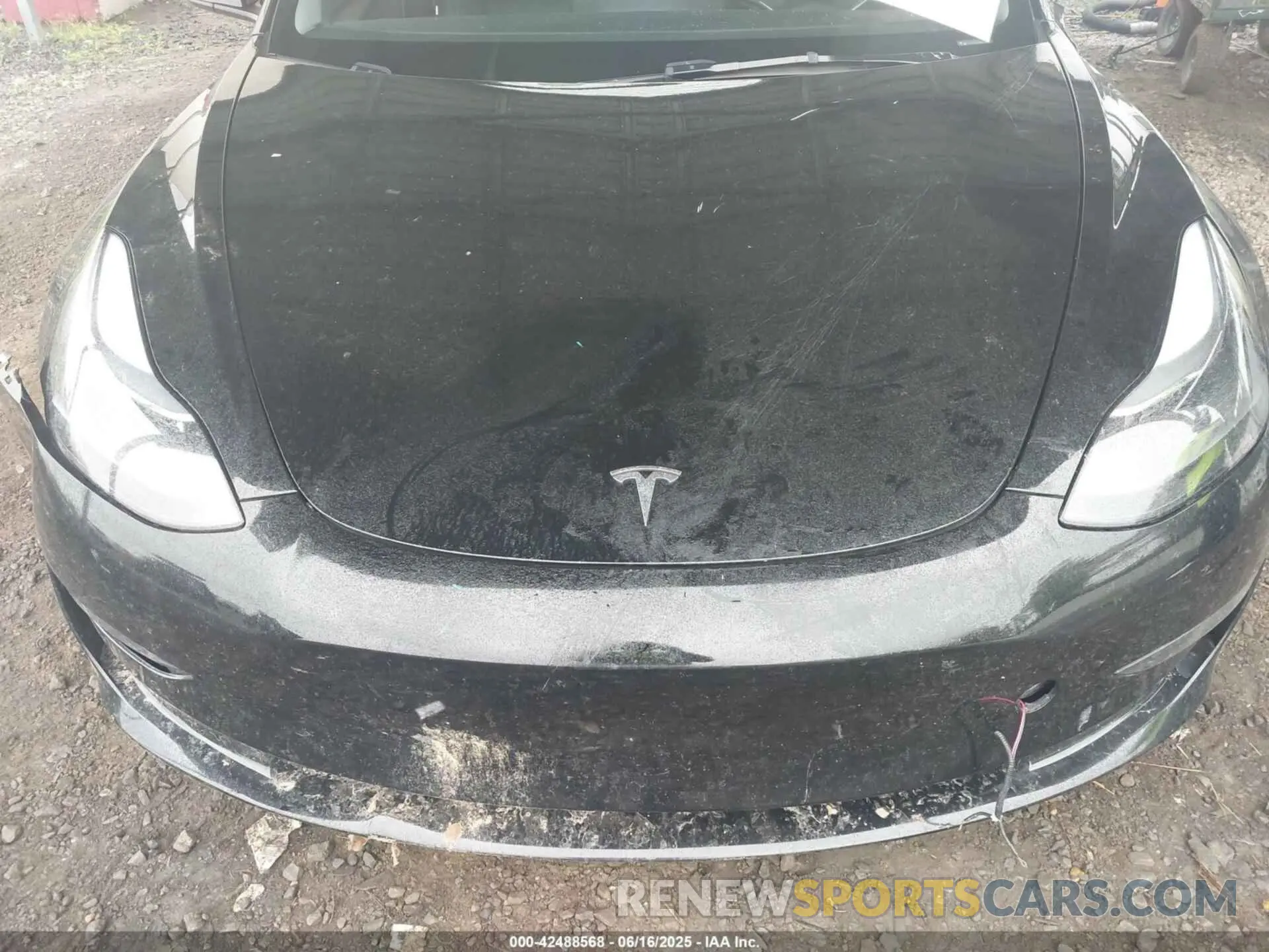 10 fotografías del automóvil dañado 5YJ3E1EAXPF678417 TESLA MODEL 3 2023