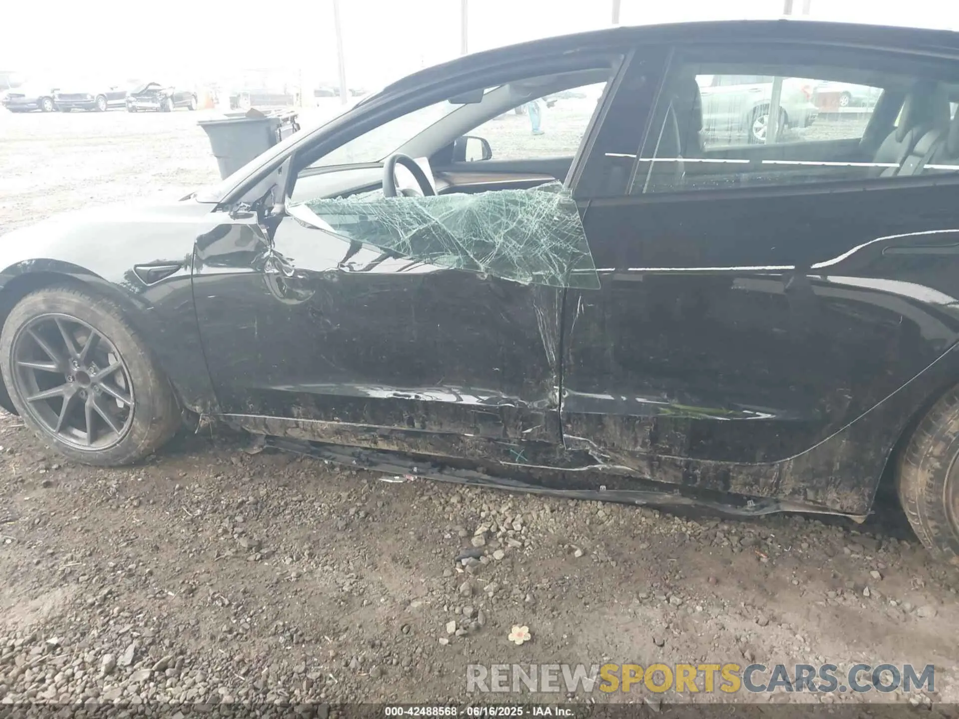 6 fotografías del automóvil dañado 5YJ3E1EAXPF678417 TESLA MODEL 3 2023