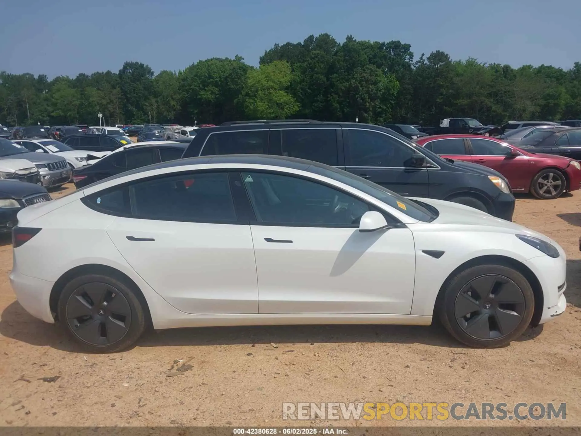 13 fotografías del automóvil dañado 5YJ3E1EAXPF686095 TESLA MODEL 3 2023