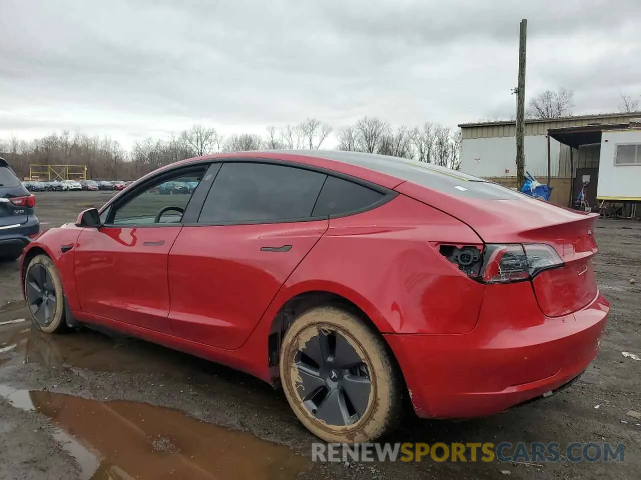 2 fotografías del automóvil dañado 5YJ3E1EAXPF691071 TESLA MODEL 3 2023