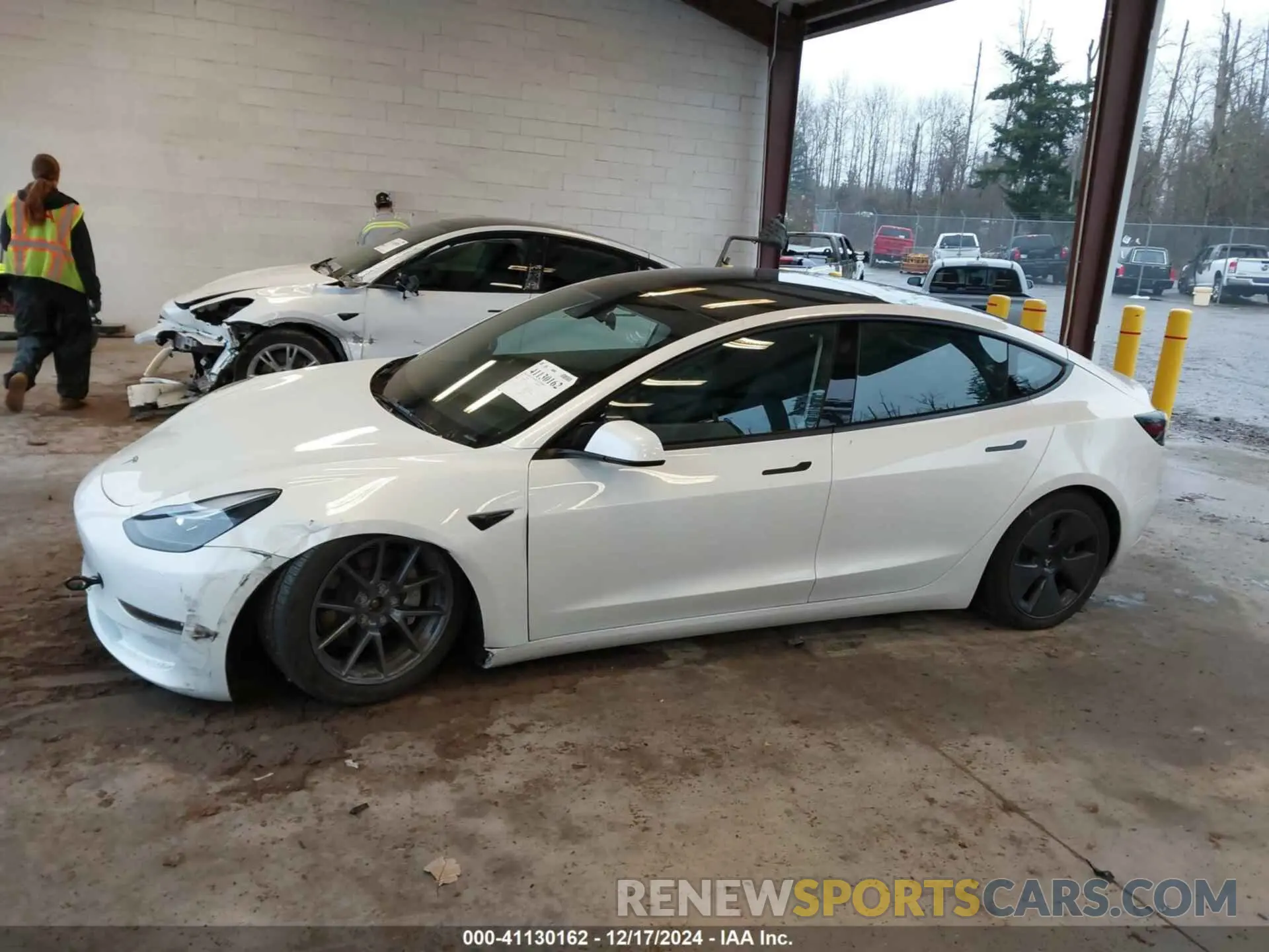 15 fotografías del automóvil dañado 5YJ3E1EB0PF604464 TESLA MODEL 3 2023