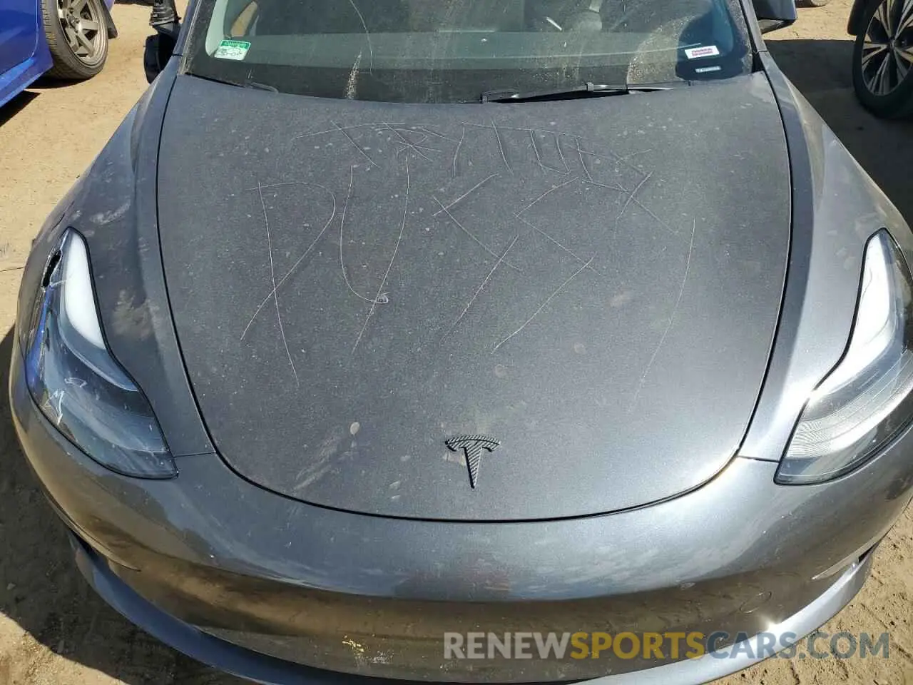 11 fotografías del automóvil dañado 5YJ3E1EB1PF688455 TESLA MODEL 3 2023