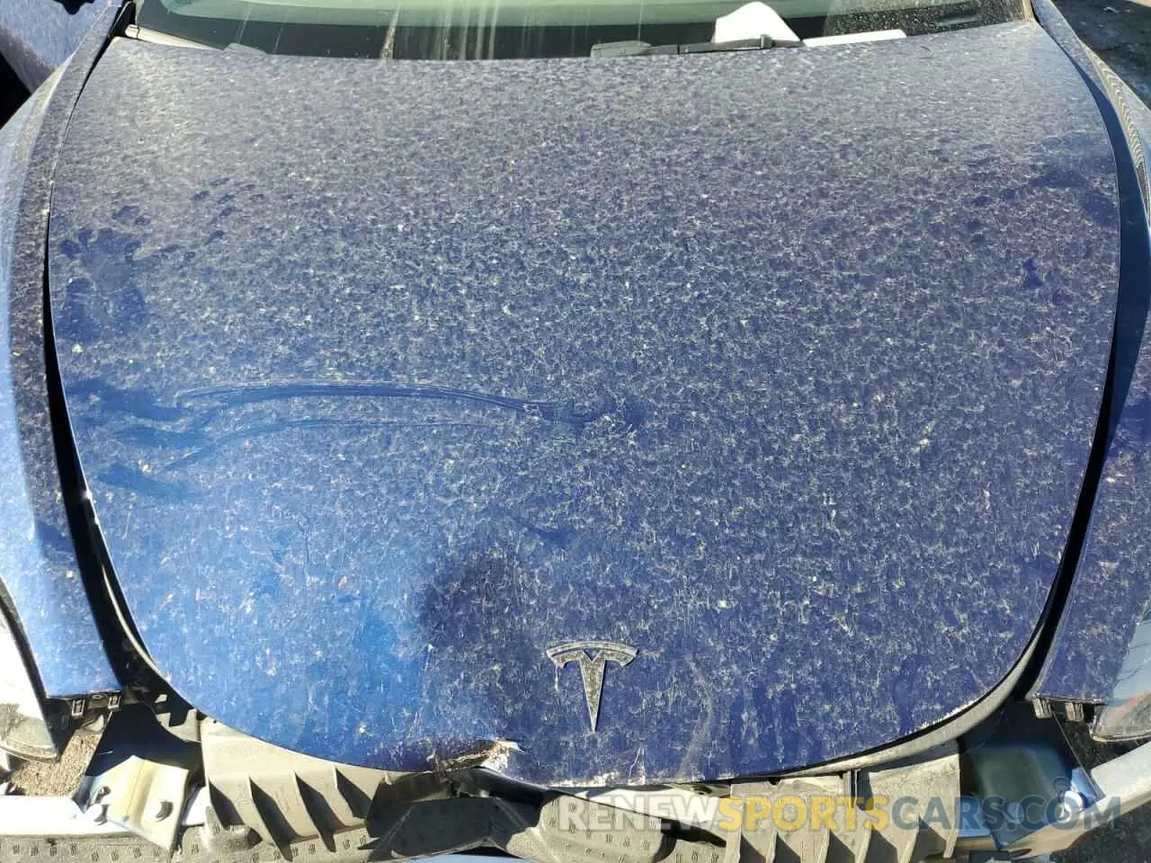11 fotografías del automóvil dañado 5YJ3E1EB3PF386777 TESLA MODEL 3 2023
