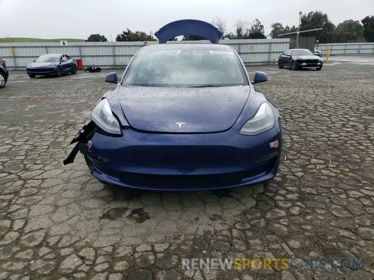 5 fotografías del automóvil dañado 5YJ3E1EB4PF704079 TESLA MODEL 3 2023