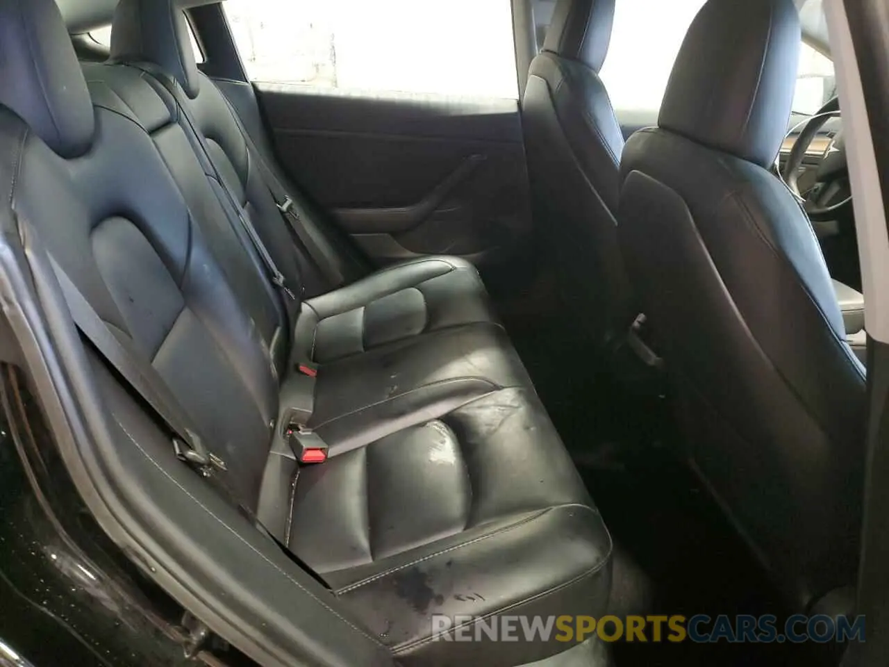 10 fotografías del automóvil dañado 5YJ3E1EB6PF466252 TESLA MODEL 3 2023