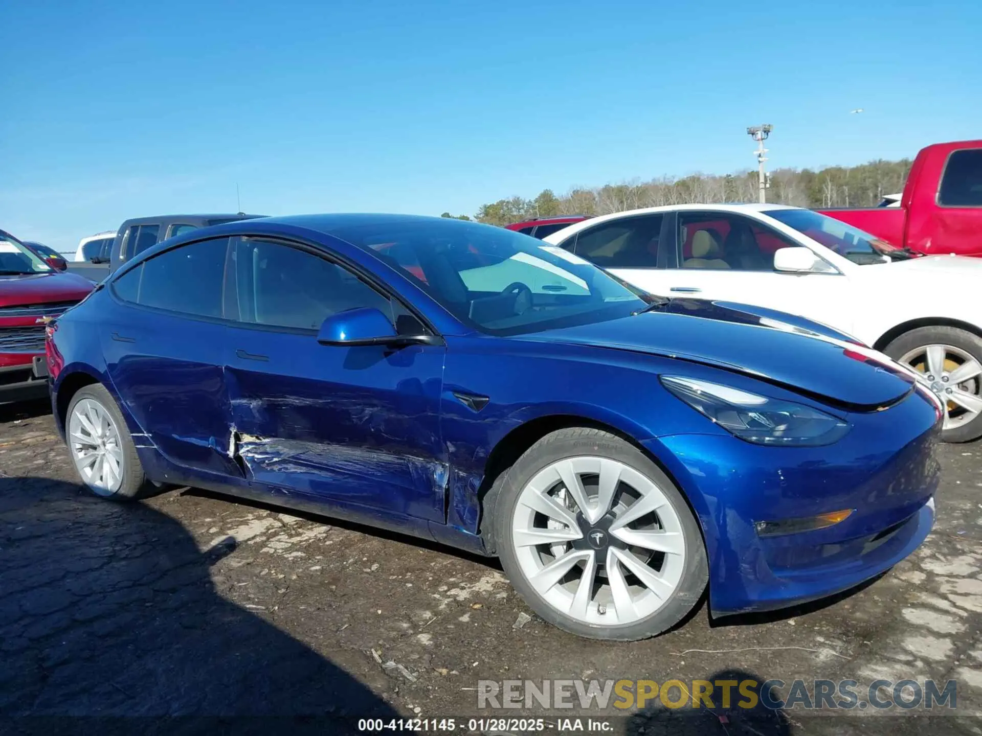 12 fotografías del automóvil dañado 5YJ3E1EB7PF615638 TESLA MODEL 3 2023