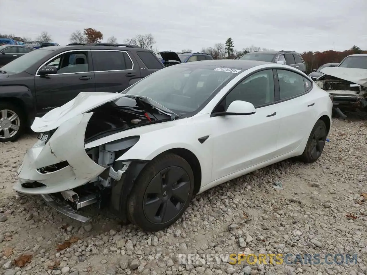 1 fotografías del automóvil dañado 5YJ3E1EB8PF390159 TESLA MODEL 3 2023
