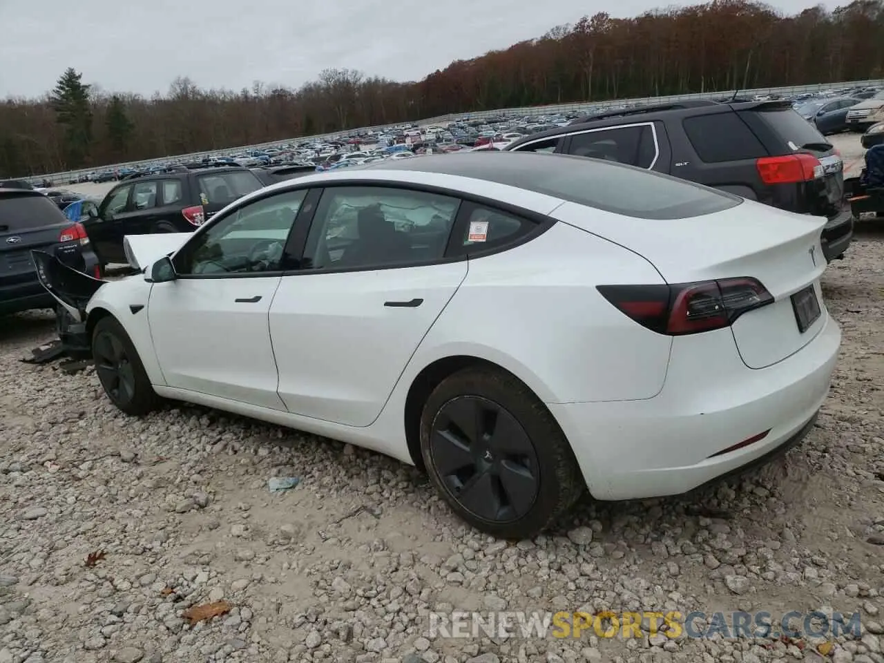2 fotografías del automóvil dañado 5YJ3E1EB8PF390159 TESLA MODEL 3 2023