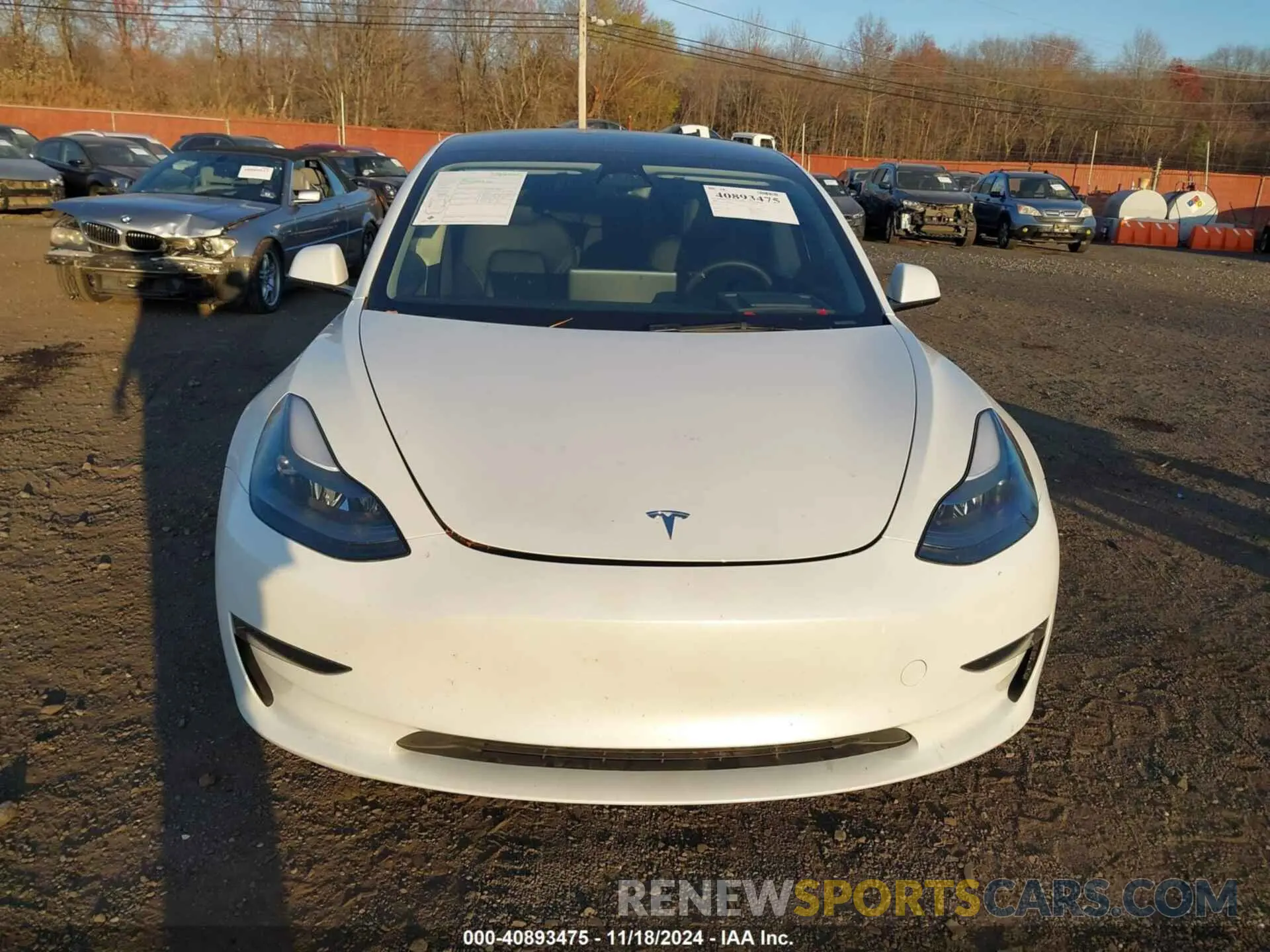 12 fotografías del automóvil dañado 5YJ3E1EB8PF604938 TESLA MODEL 3 2023