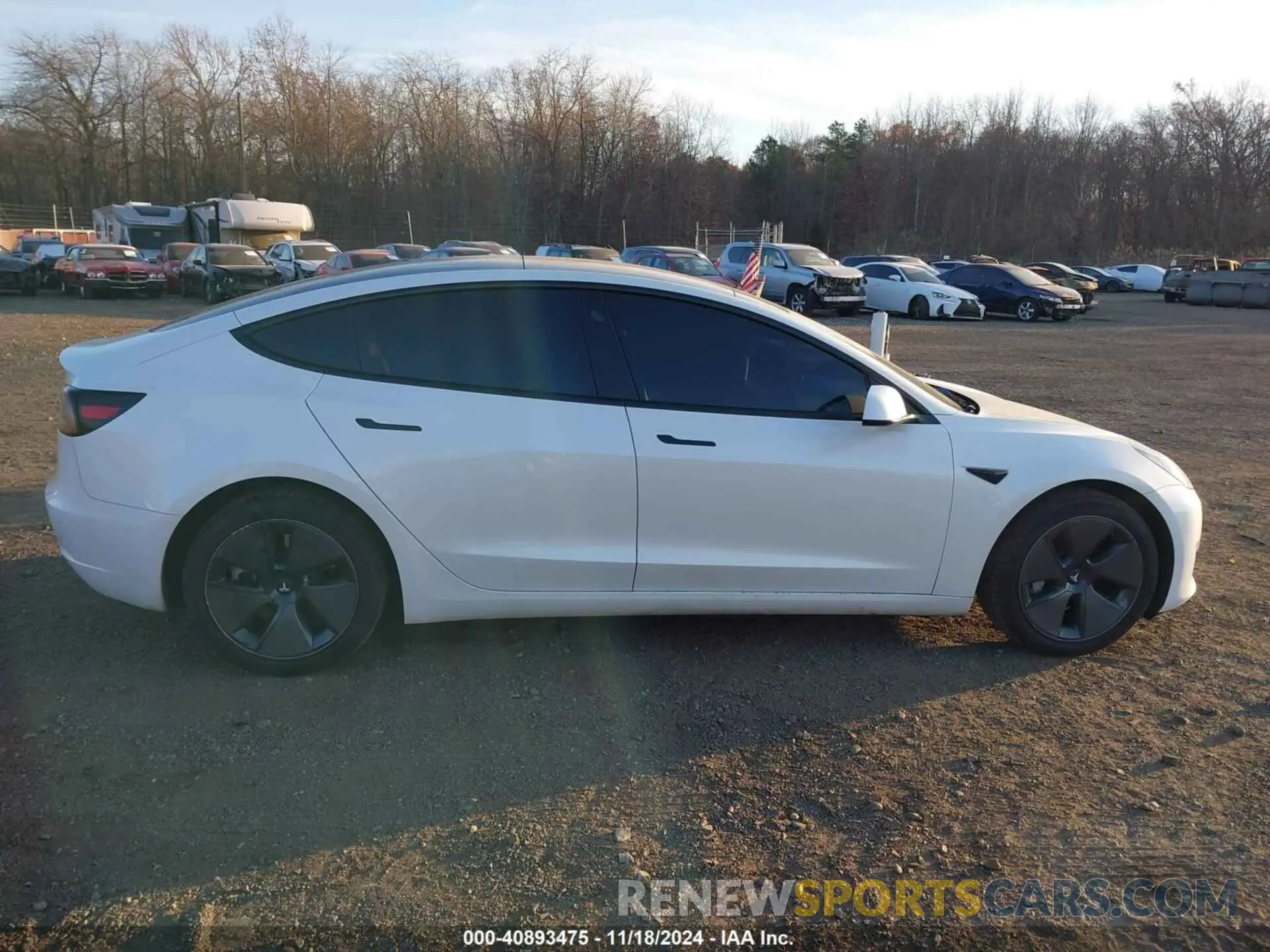 13 fotografías del automóvil dañado 5YJ3E1EB8PF604938 TESLA MODEL 3 2023
