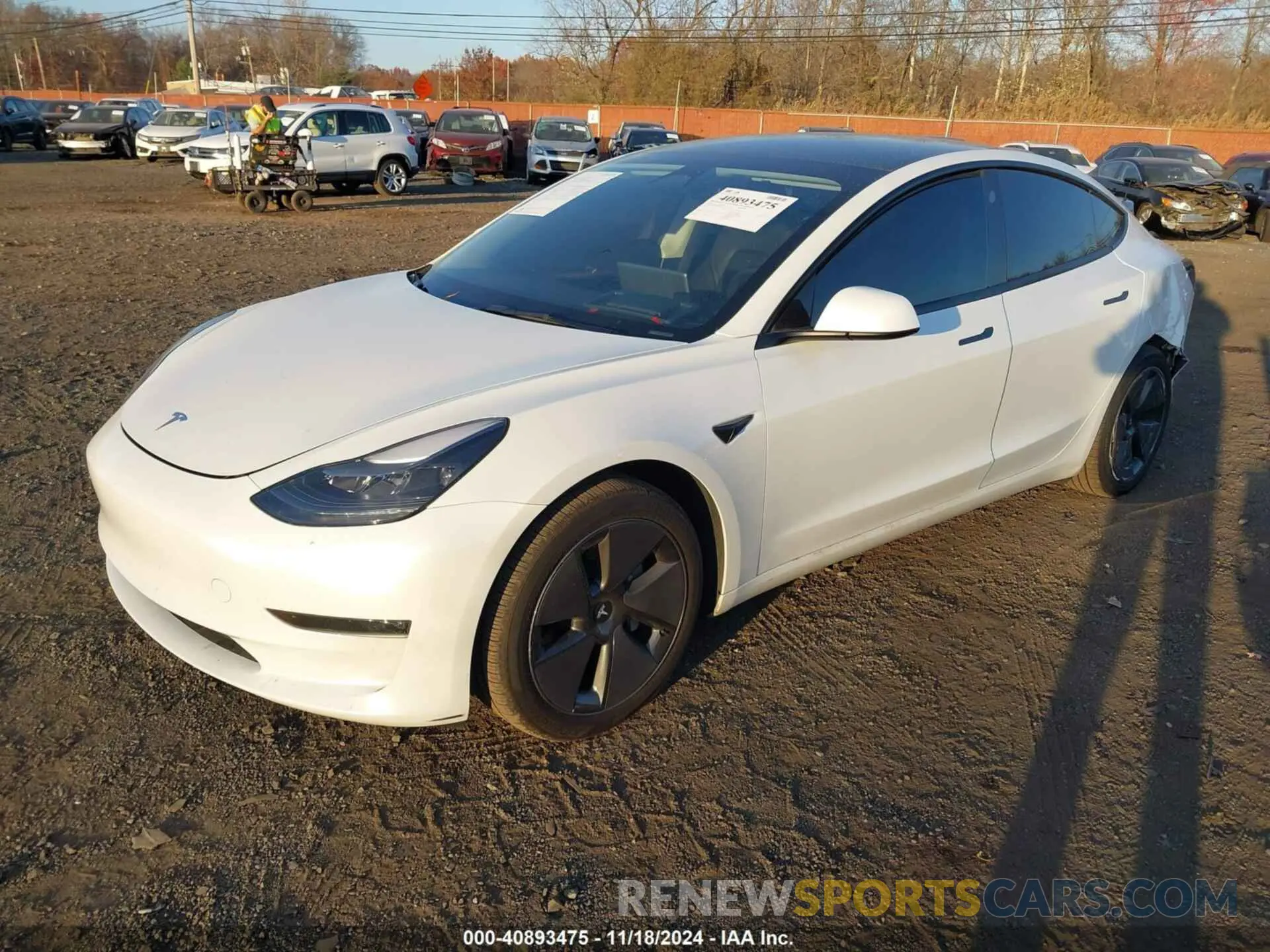 2 fotografías del automóvil dañado 5YJ3E1EB8PF604938 TESLA MODEL 3 2023