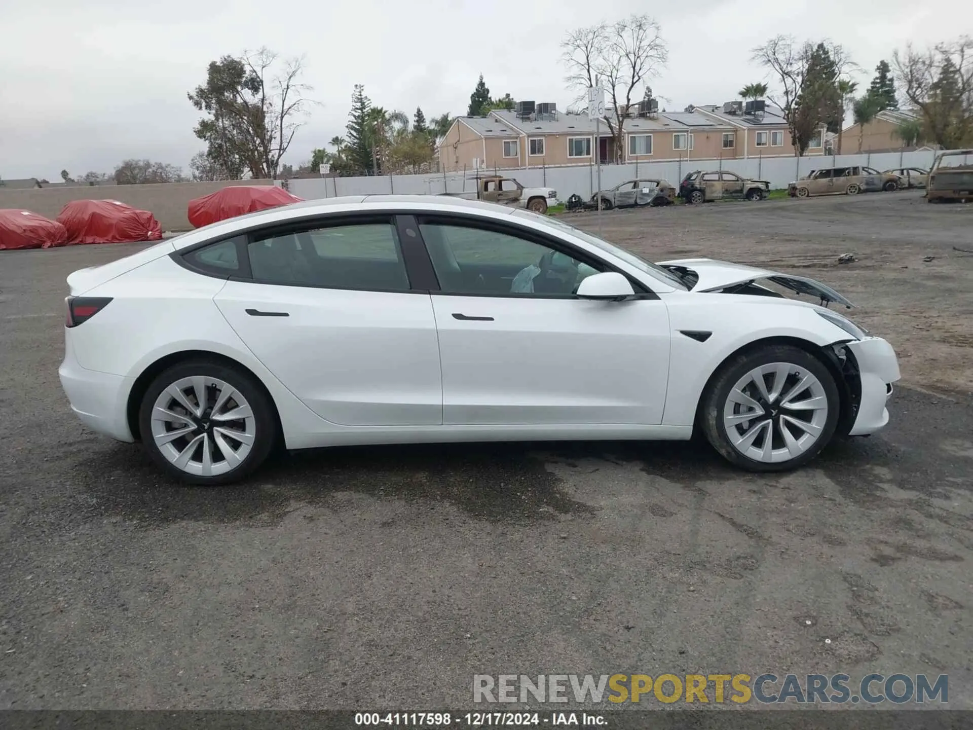 12 fotografías del automóvil dañado 5YJ3E1EB9PF462888 TESLA MODEL 3 2023