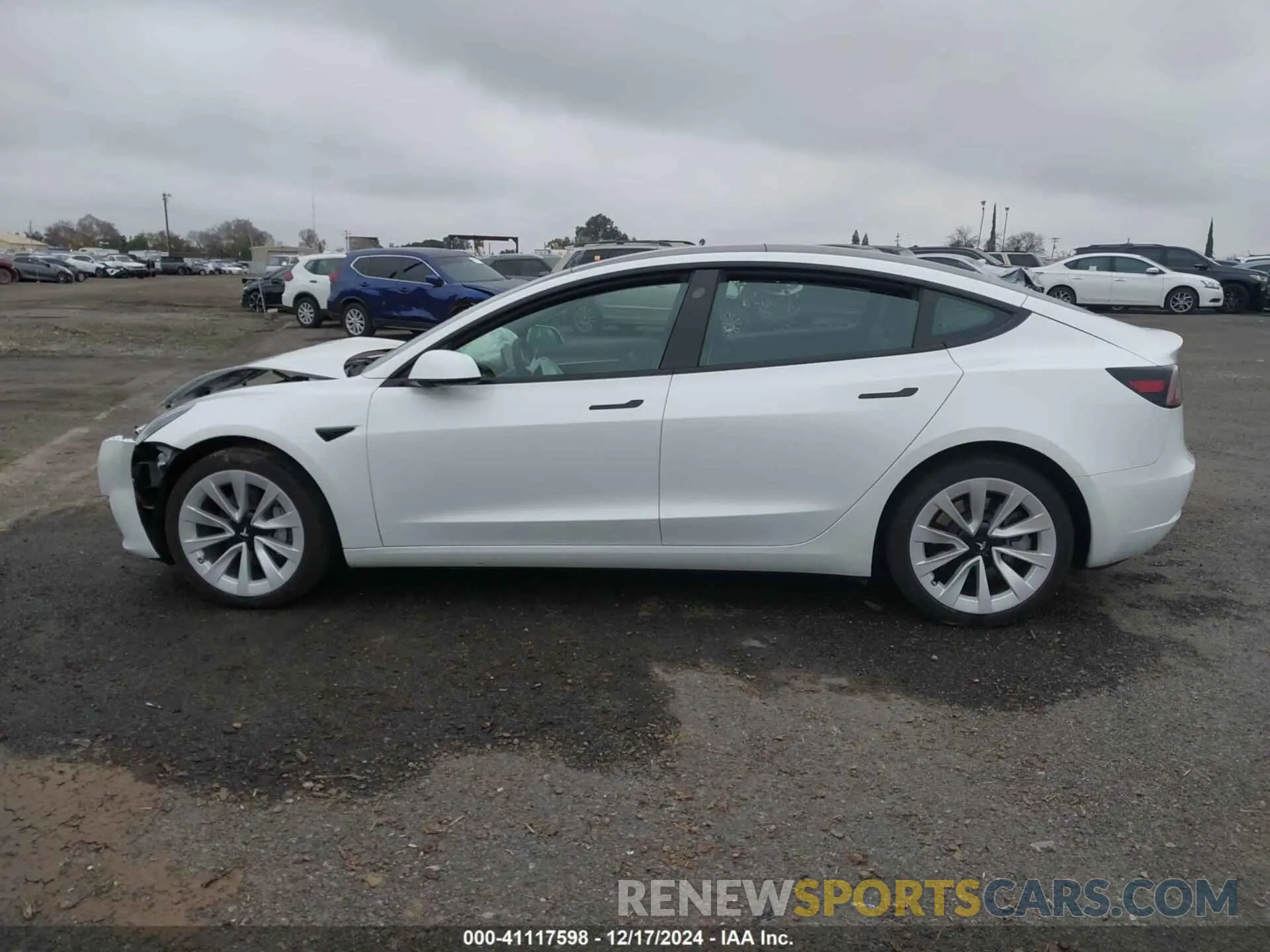 13 fotografías del automóvil dañado 5YJ3E1EB9PF462888 TESLA MODEL 3 2023