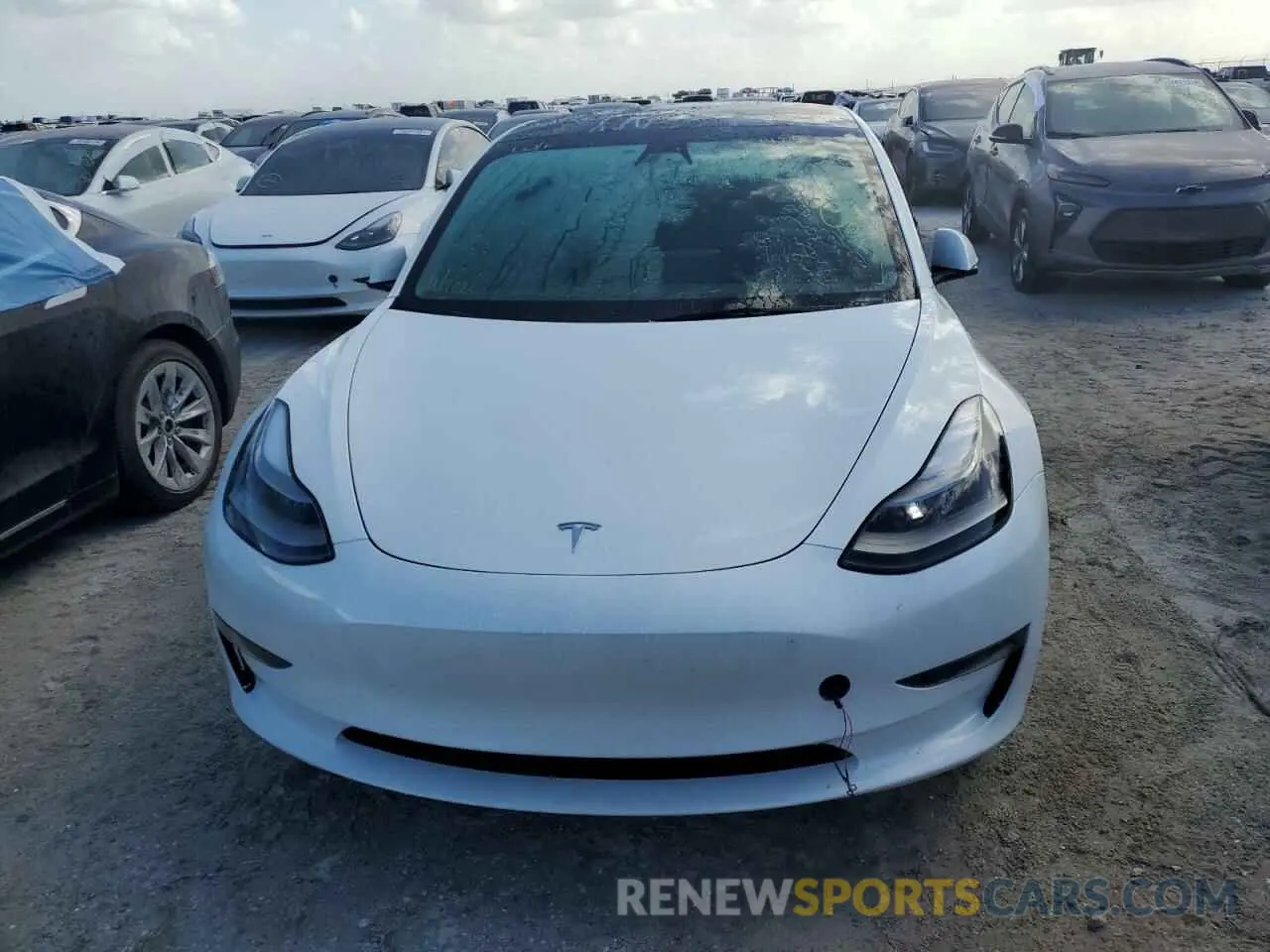 5 fotografías del automóvil dañado 5YJ3E1EB9PF701484 TESLA MODEL 3 2023