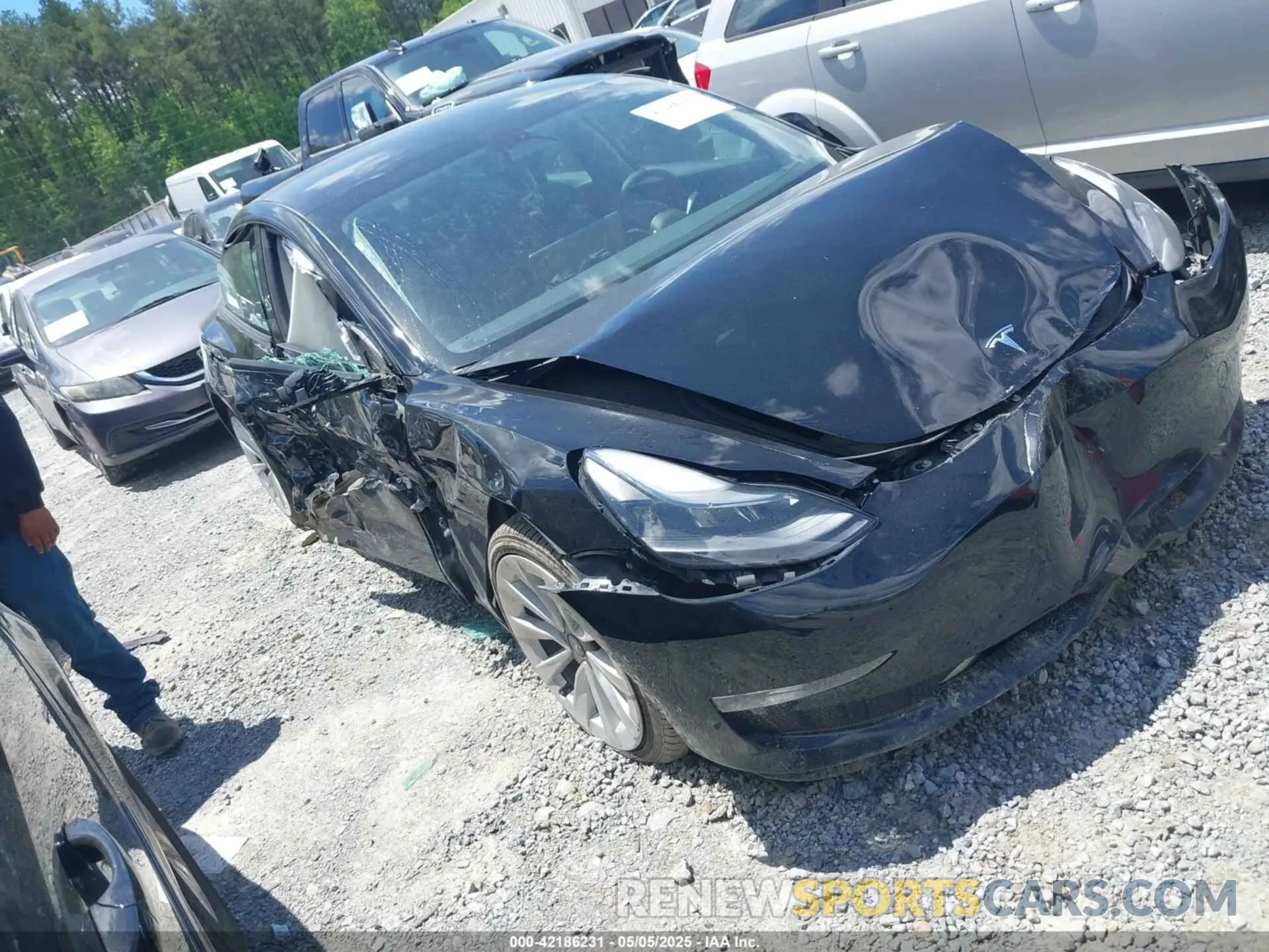 1 fotografías del automóvil dañado 5YJ3E1EBXPF388011 TESLA MODEL 3 2023
