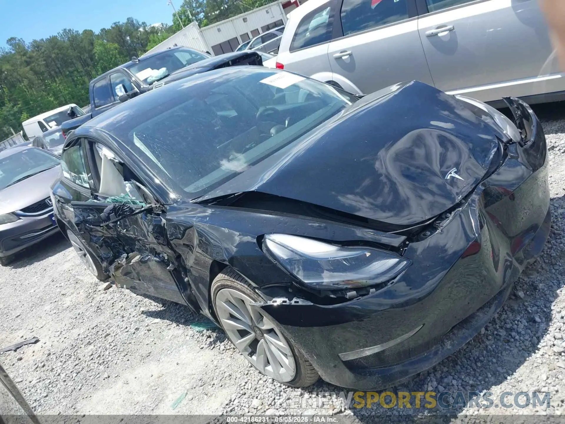 12 fotografías del automóvil dañado 5YJ3E1EBXPF388011 TESLA MODEL 3 2023