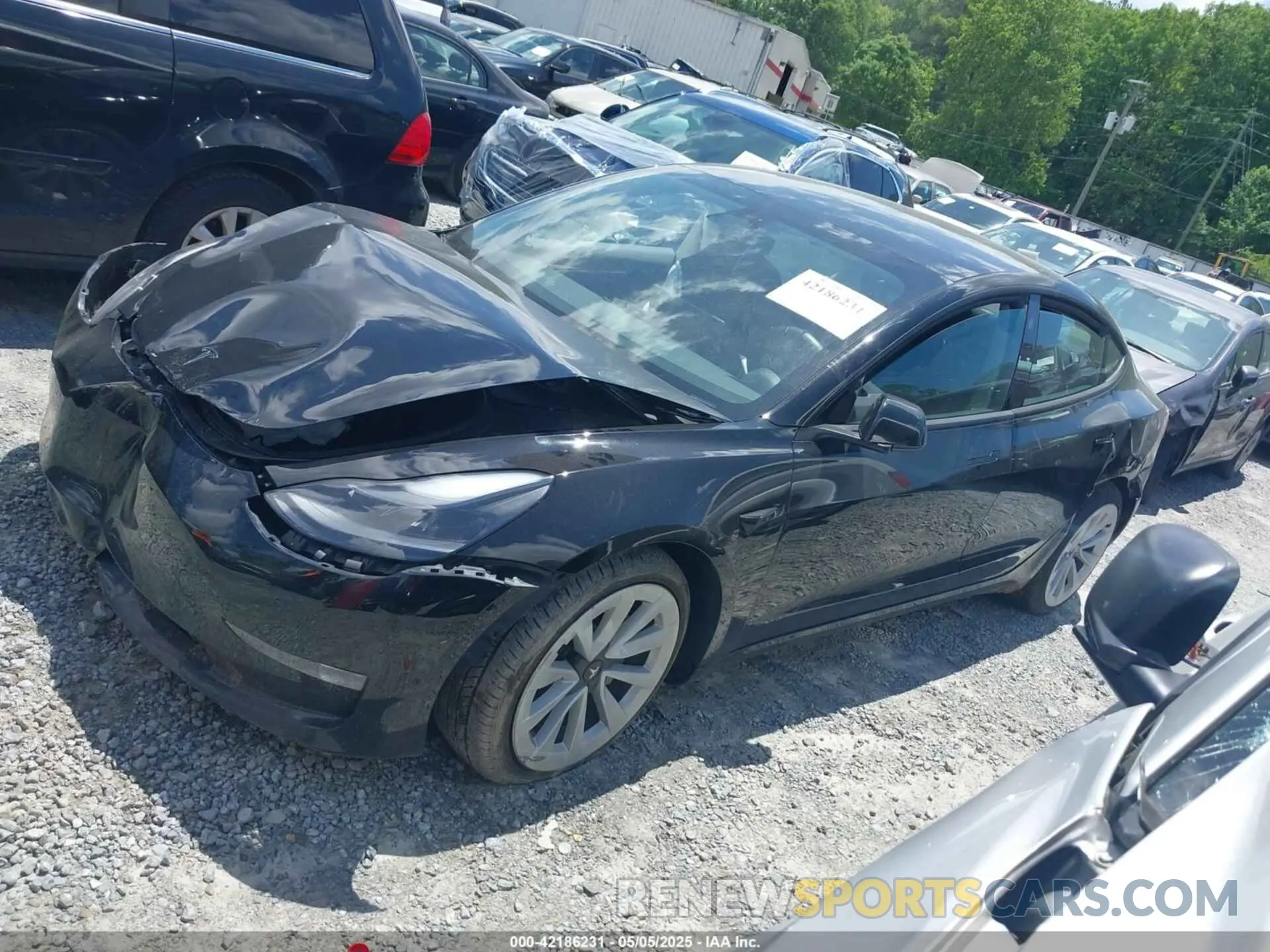 13 fotografías del automóvil dañado 5YJ3E1EBXPF388011 TESLA MODEL 3 2023