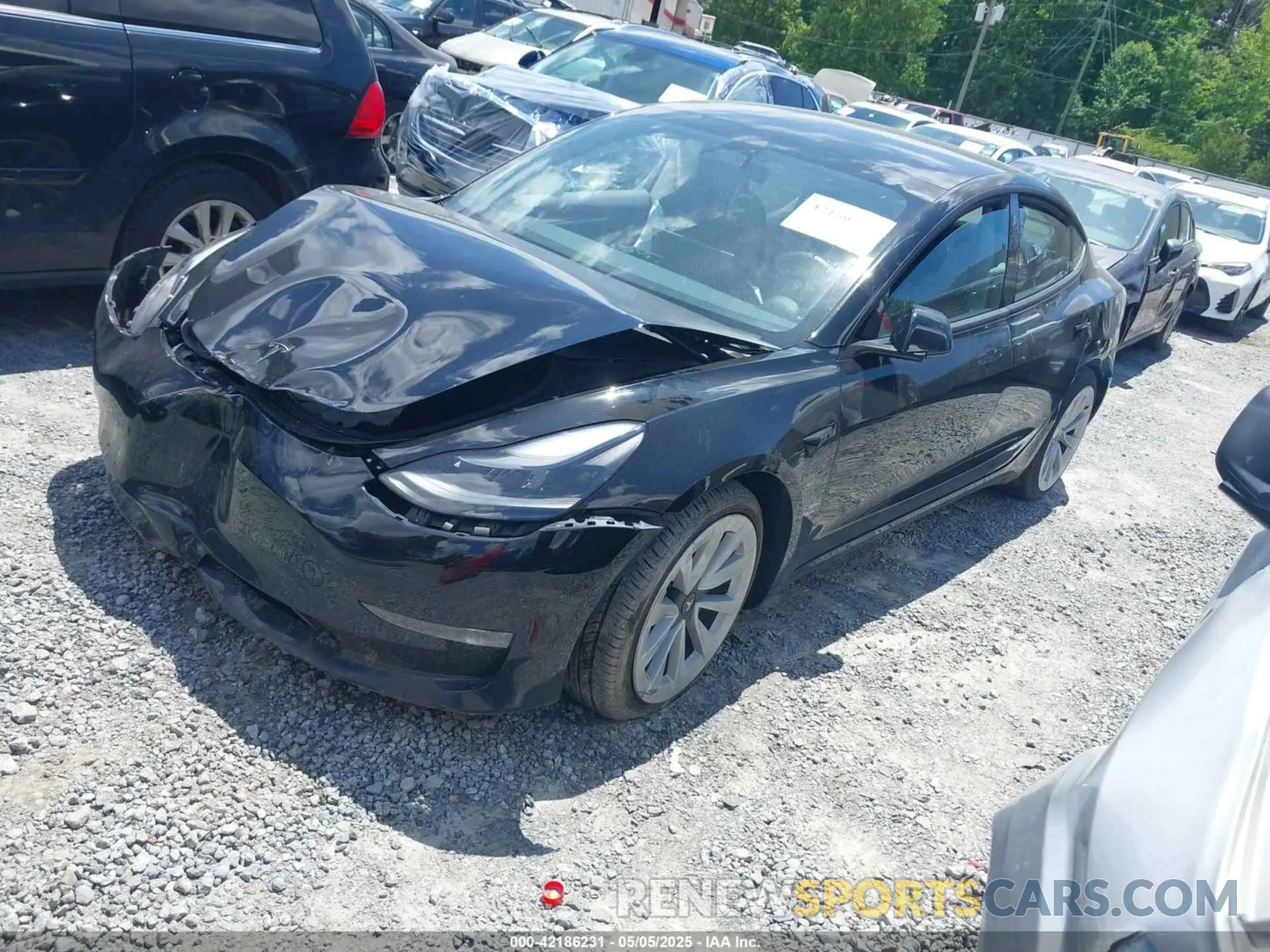 2 fotografías del automóvil dañado 5YJ3E1EBXPF388011 TESLA MODEL 3 2023