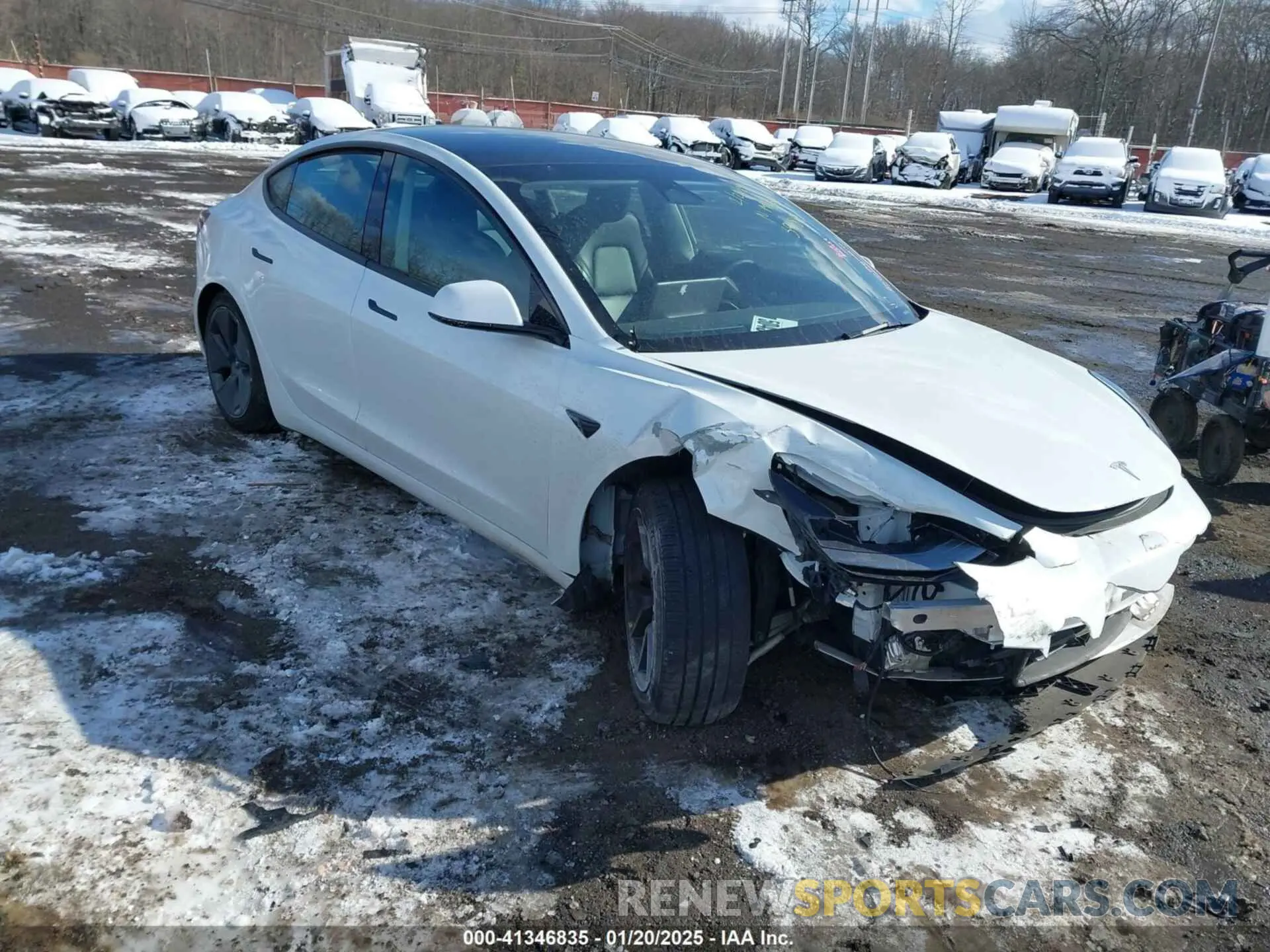 1 fotografías del automóvil dañado 5YJ3E1EBXPF392818 TESLA MODEL 3 2023