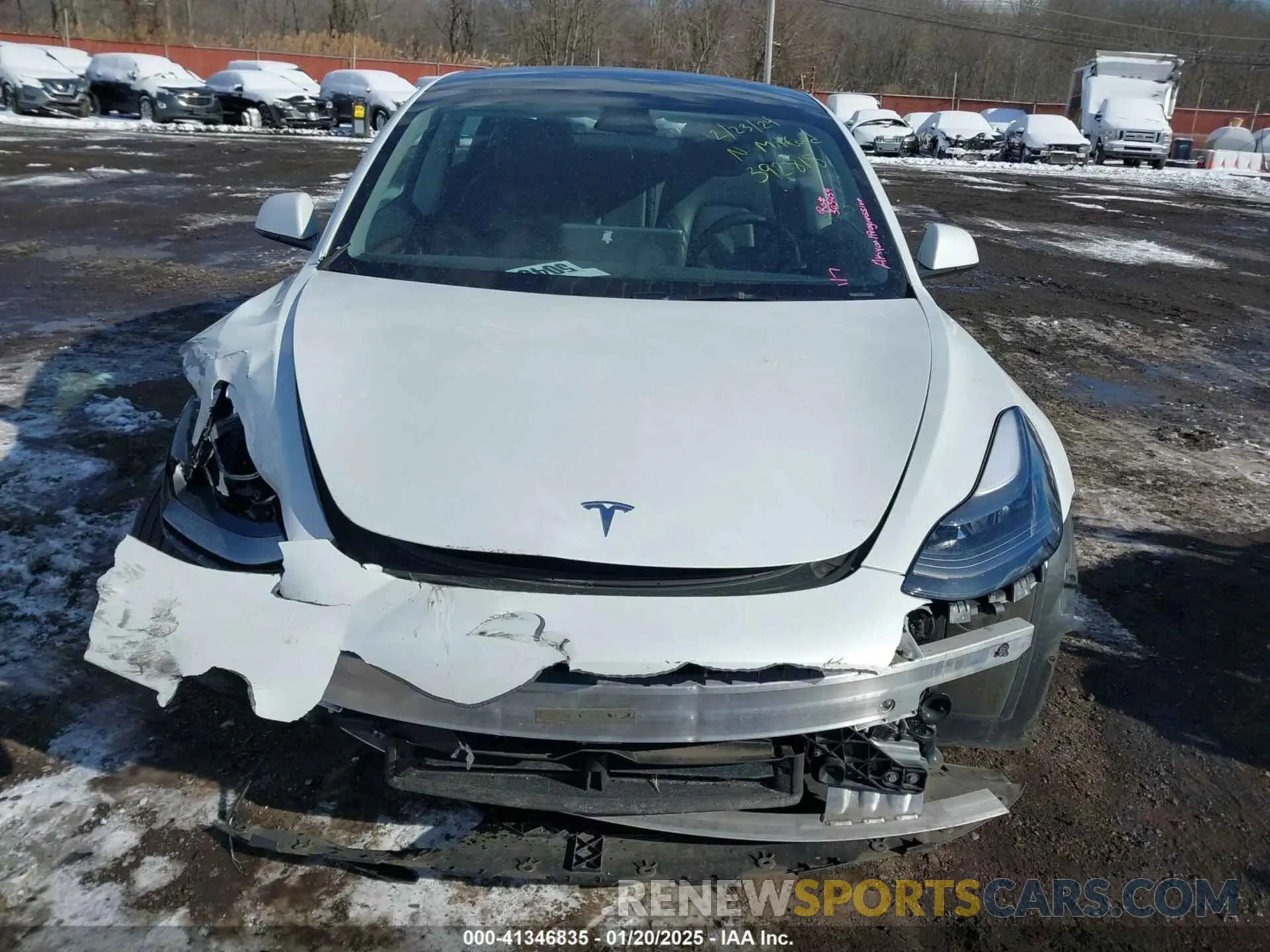 12 fotografías del automóvil dañado 5YJ3E1EBXPF392818 TESLA MODEL 3 2023