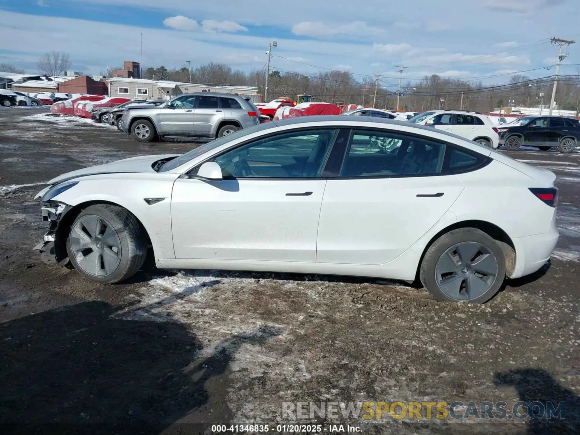 14 fotografías del automóvil dañado 5YJ3E1EBXPF392818 TESLA MODEL 3 2023
