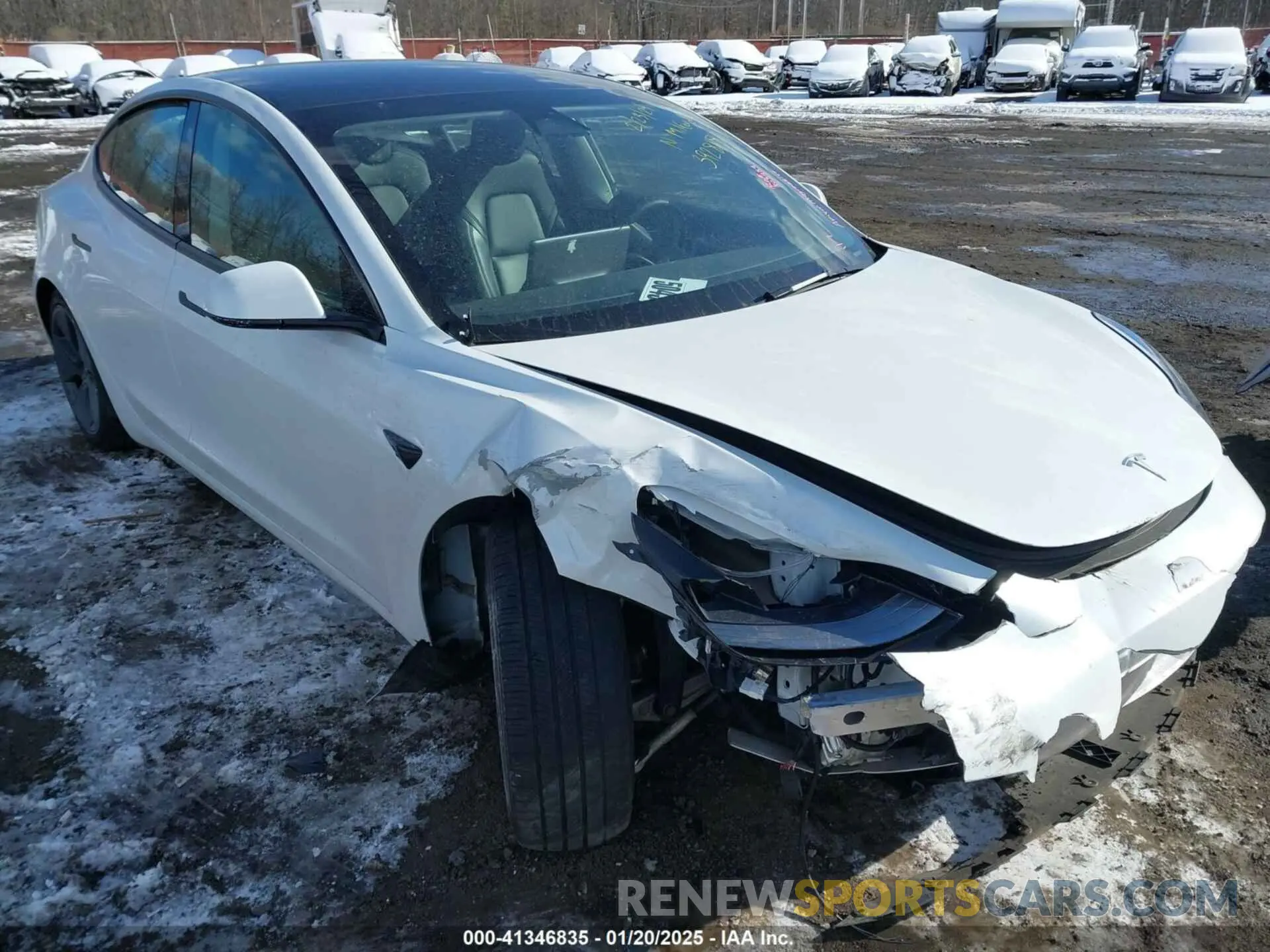 19 fotografías del automóvil dañado 5YJ3E1EBXPF392818 TESLA MODEL 3 2023