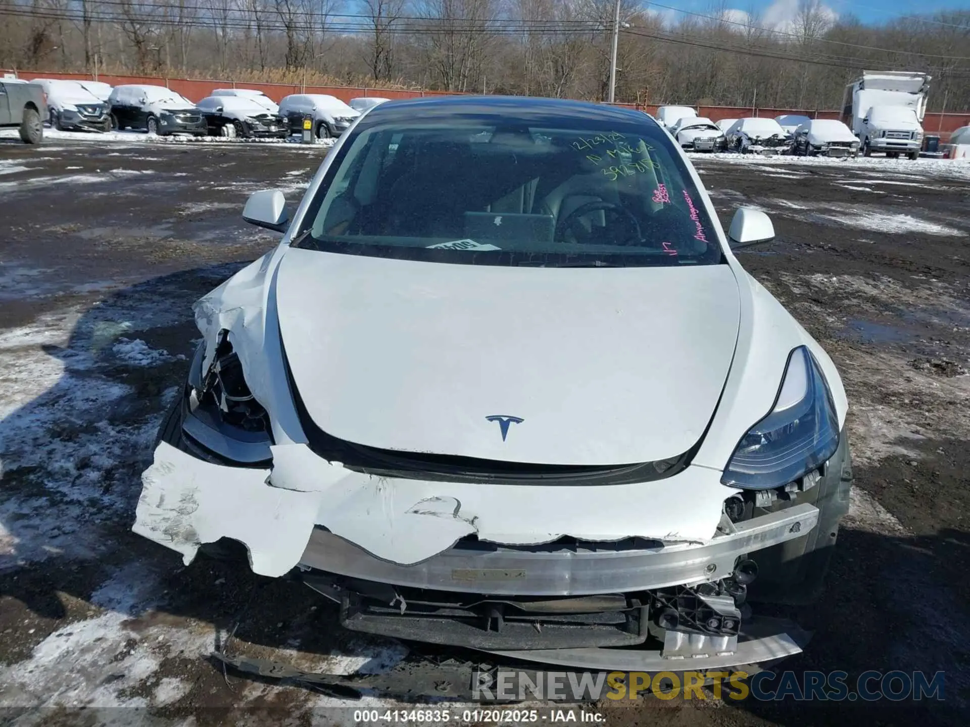 20 fotografías del automóvil dañado 5YJ3E1EBXPF392818 TESLA MODEL 3 2023