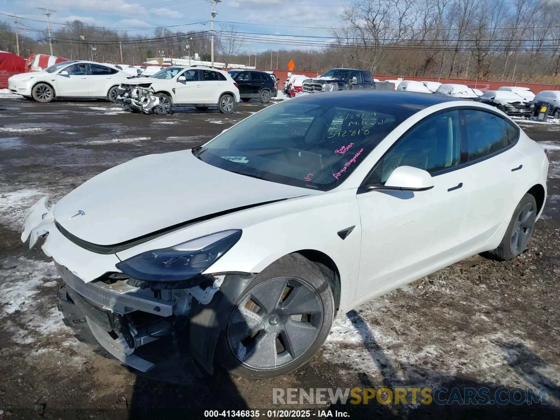 21 fotografías del automóvil dañado 5YJ3E1EBXPF392818 TESLA MODEL 3 2023
