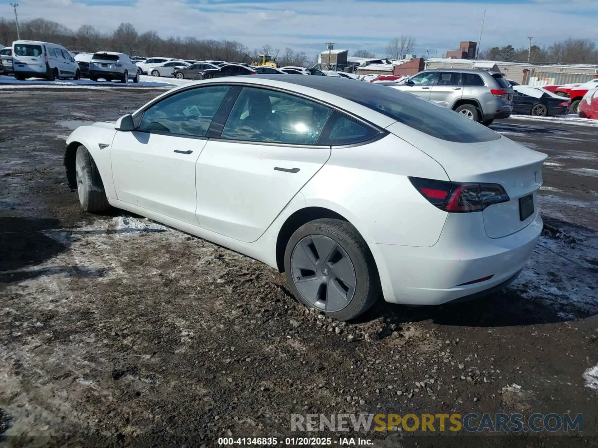 3 fotografías del automóvil dañado 5YJ3E1EBXPF392818 TESLA MODEL 3 2023