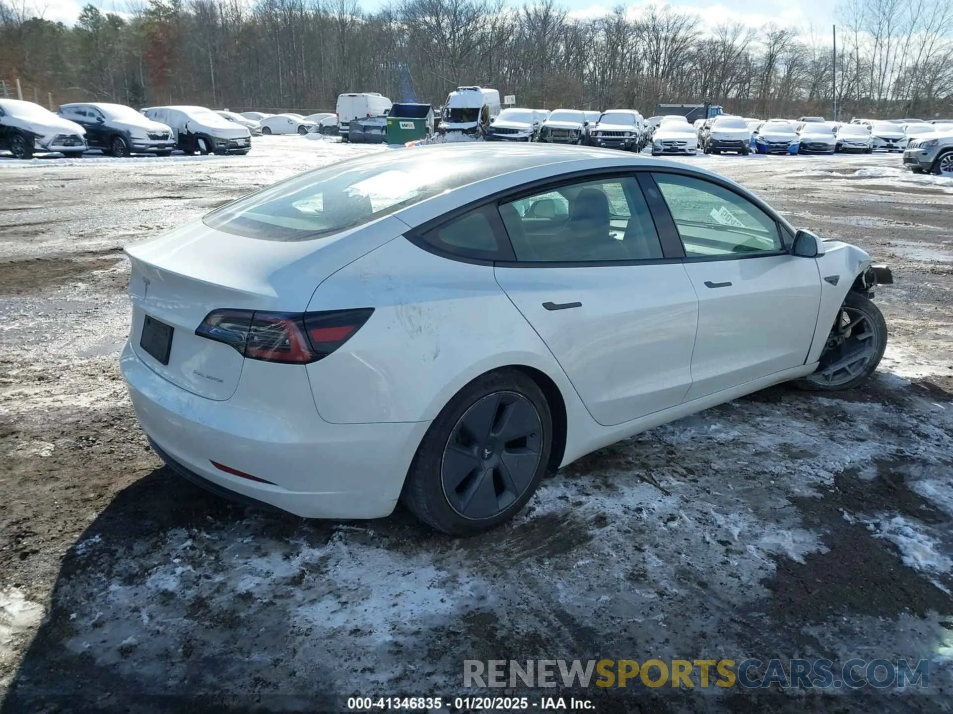 4 fotografías del automóvil dañado 5YJ3E1EBXPF392818 TESLA MODEL 3 2023